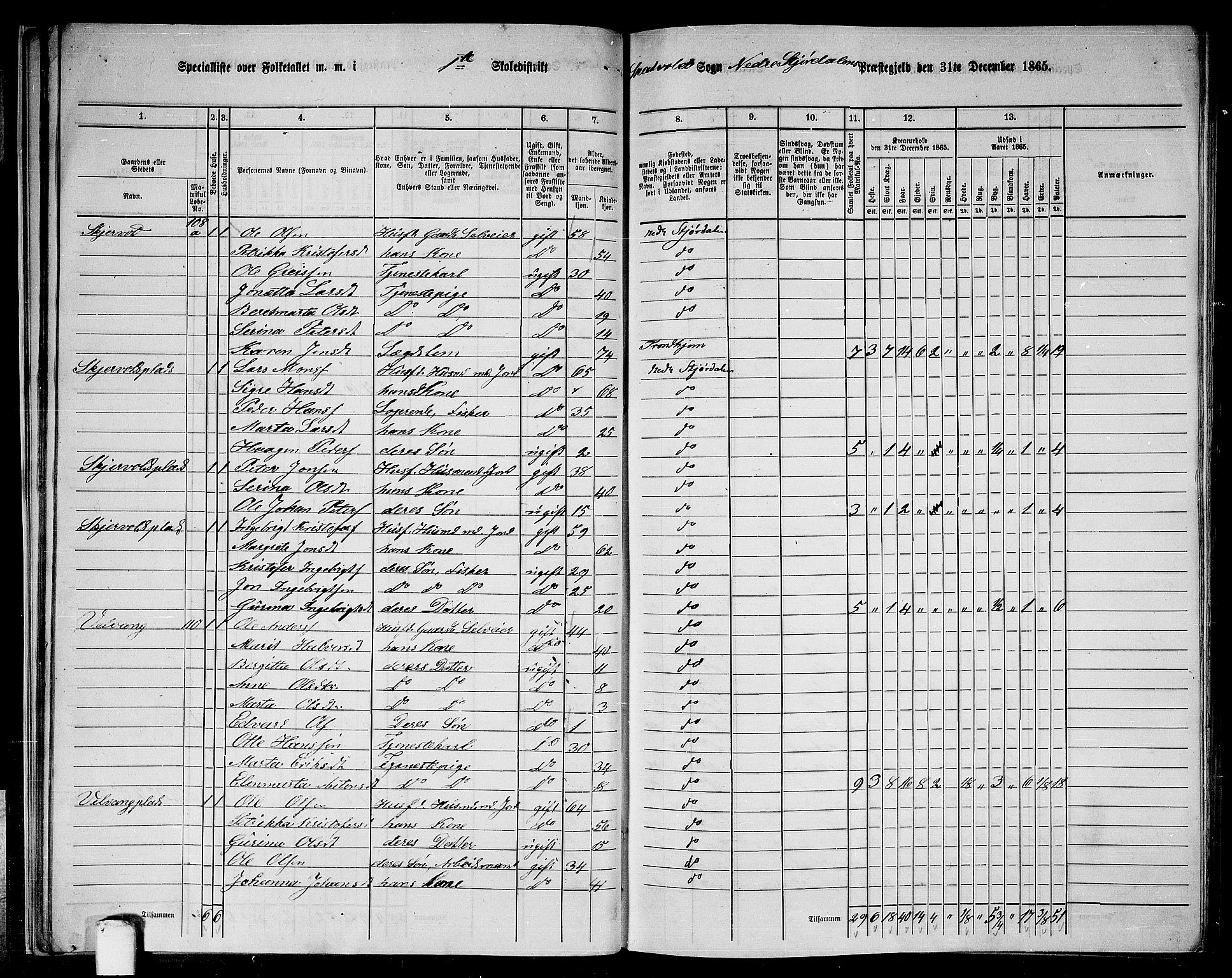 RA, Folketelling 1865 for 1714P Nedre Stjørdal prestegjeld, 1865, s. 31