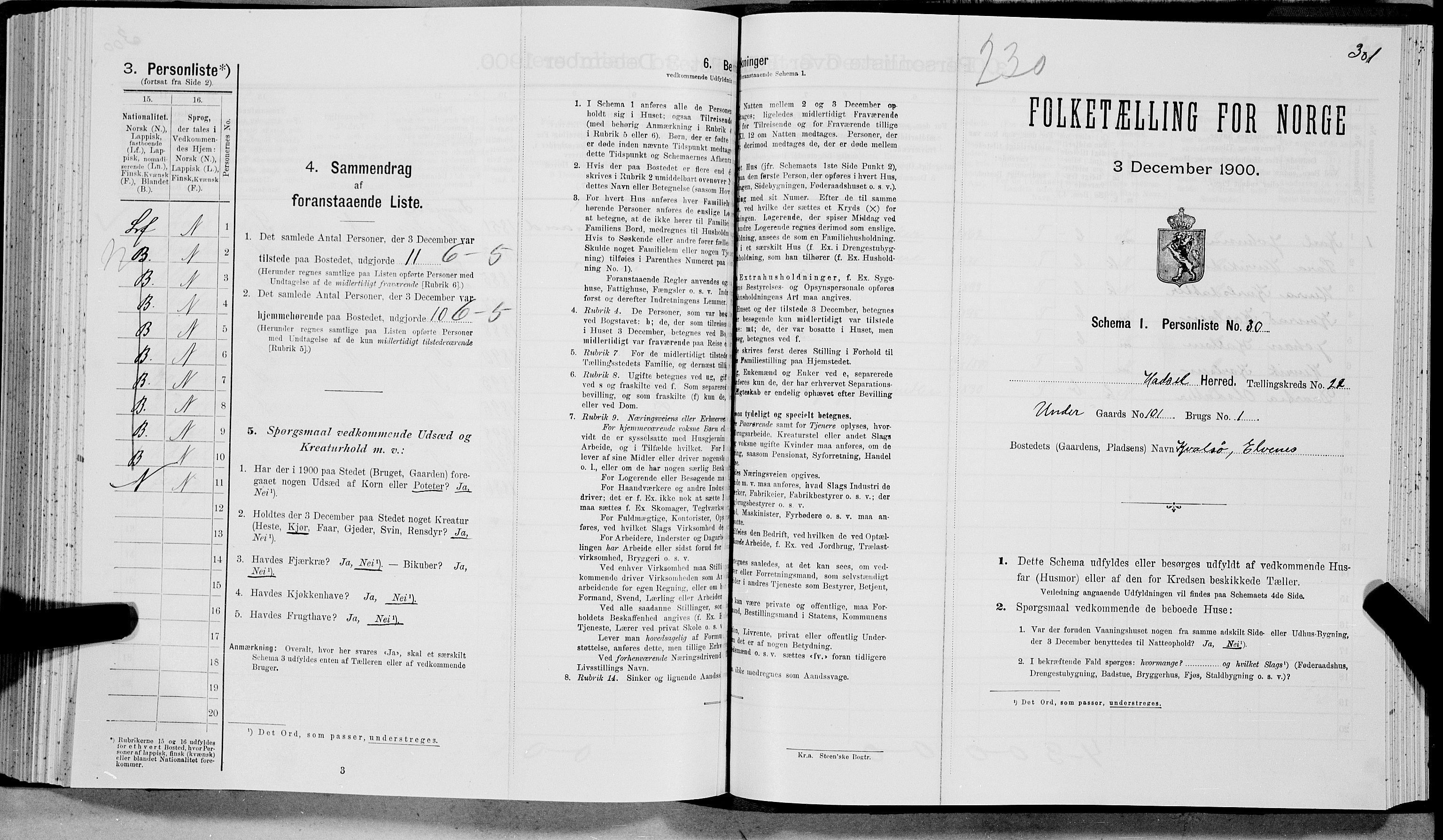 SAT, Folketelling 1900 for 1866 Hadsel herred, 1900, s. 2196