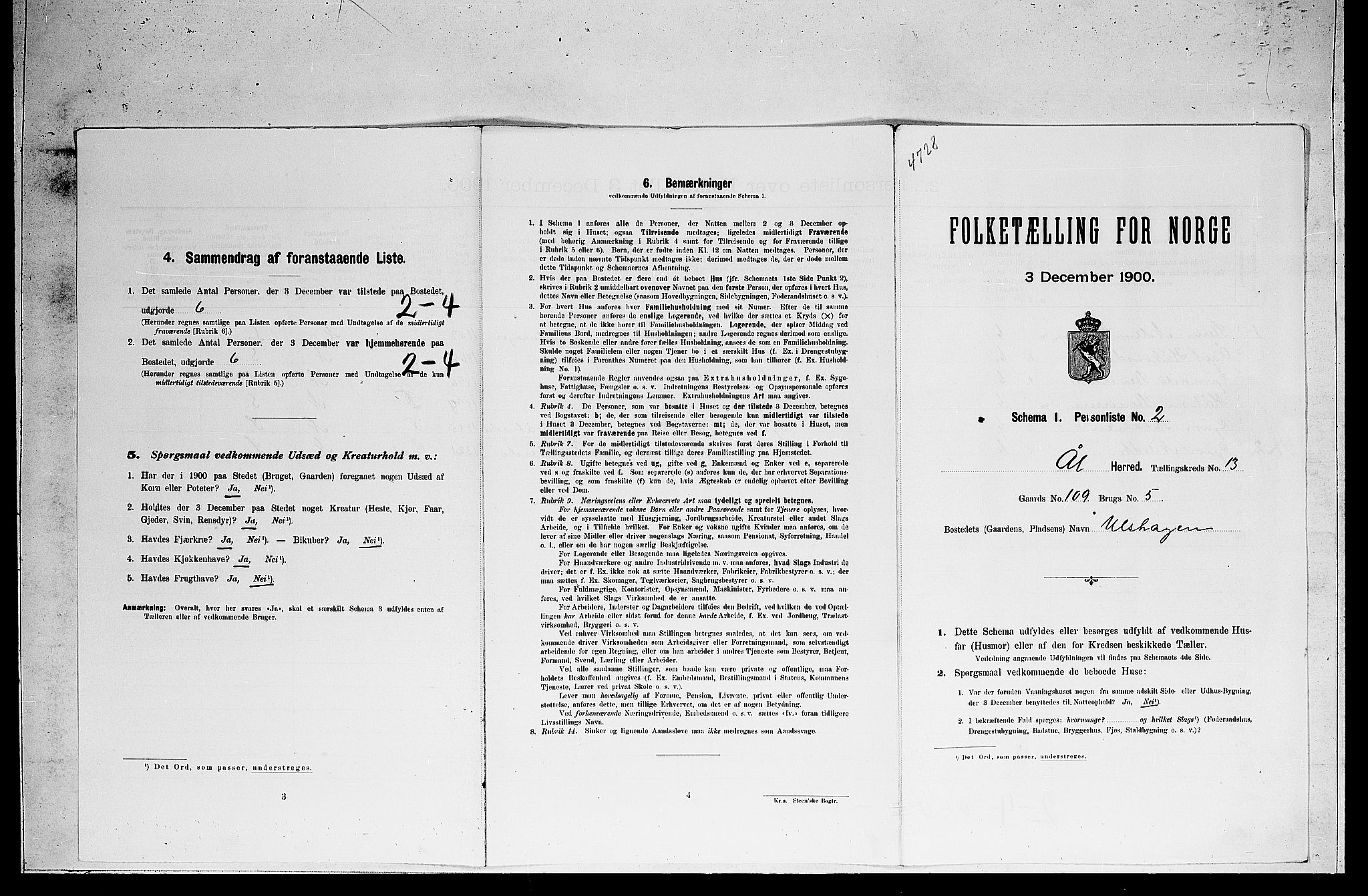 RA, Folketelling 1900 for 0619 Ål herred, 1900, s. 1006