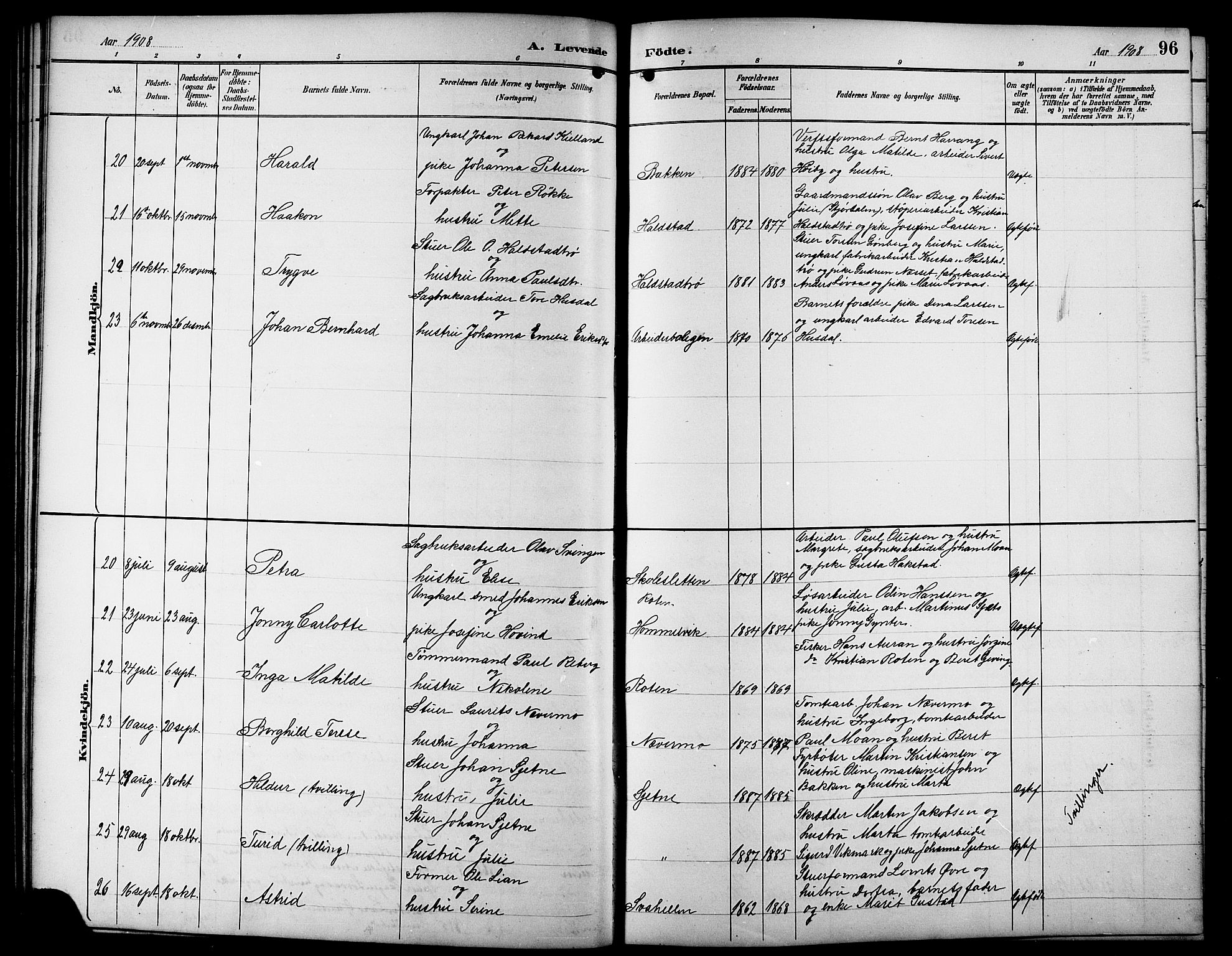 Ministerialprotokoller, klokkerbøker og fødselsregistre - Sør-Trøndelag, SAT/A-1456/617/L0431: Klokkerbok nr. 617C01, 1889-1910, s. 96