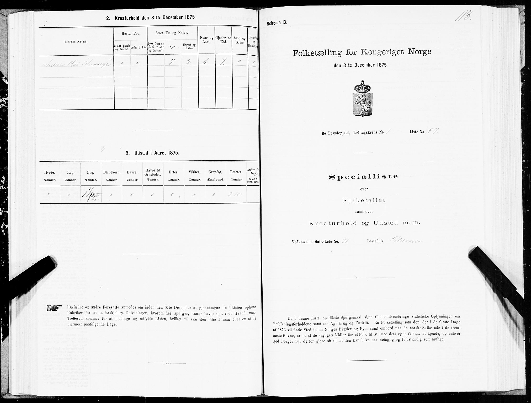 SAT, Folketelling 1875 for 1867P Bø prestegjeld, 1875, s. 1113