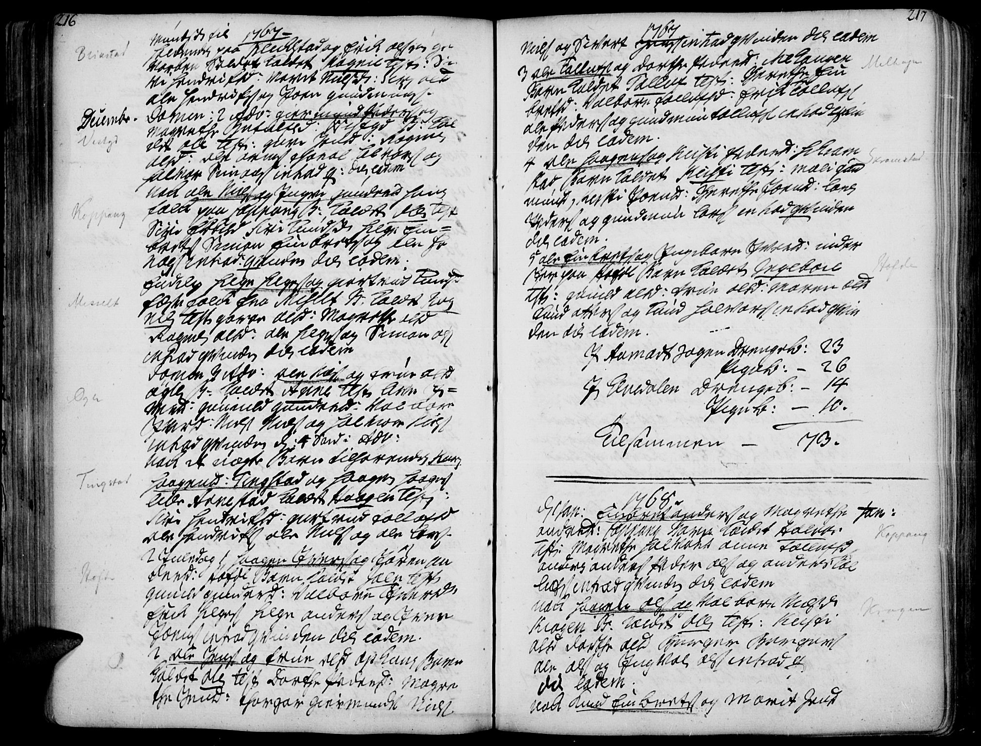 Åmot prestekontor, Hedmark, AV/SAH-PREST-056/H/Ha/Haa/L0002: Ministerialbok nr. 2, 1734-1779, s. 216-217