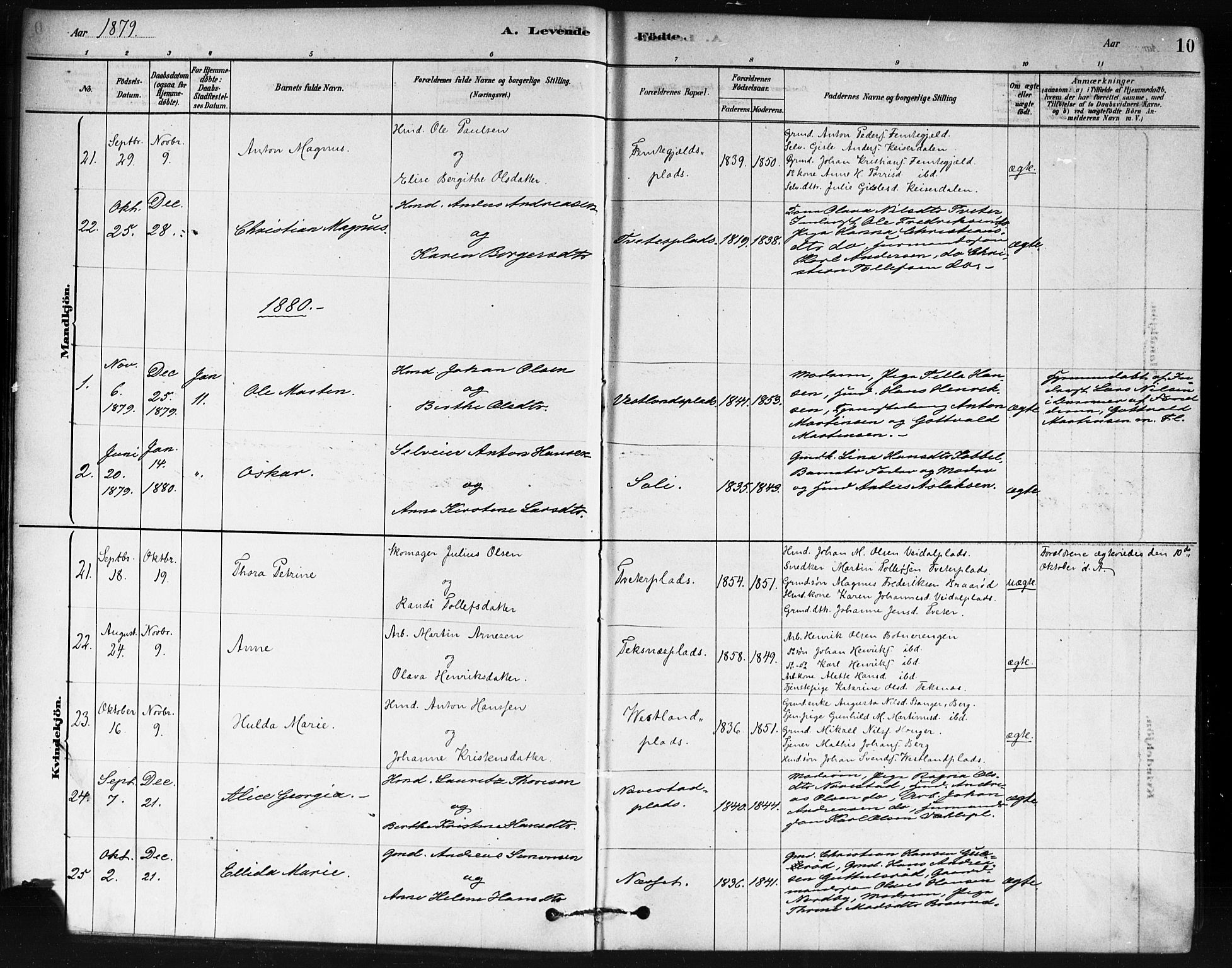 Våler prestekontor Kirkebøker, AV/SAO-A-11083/F/Fa/L0010: Ministerialbok nr. I 10, 1878-1896, s. 10