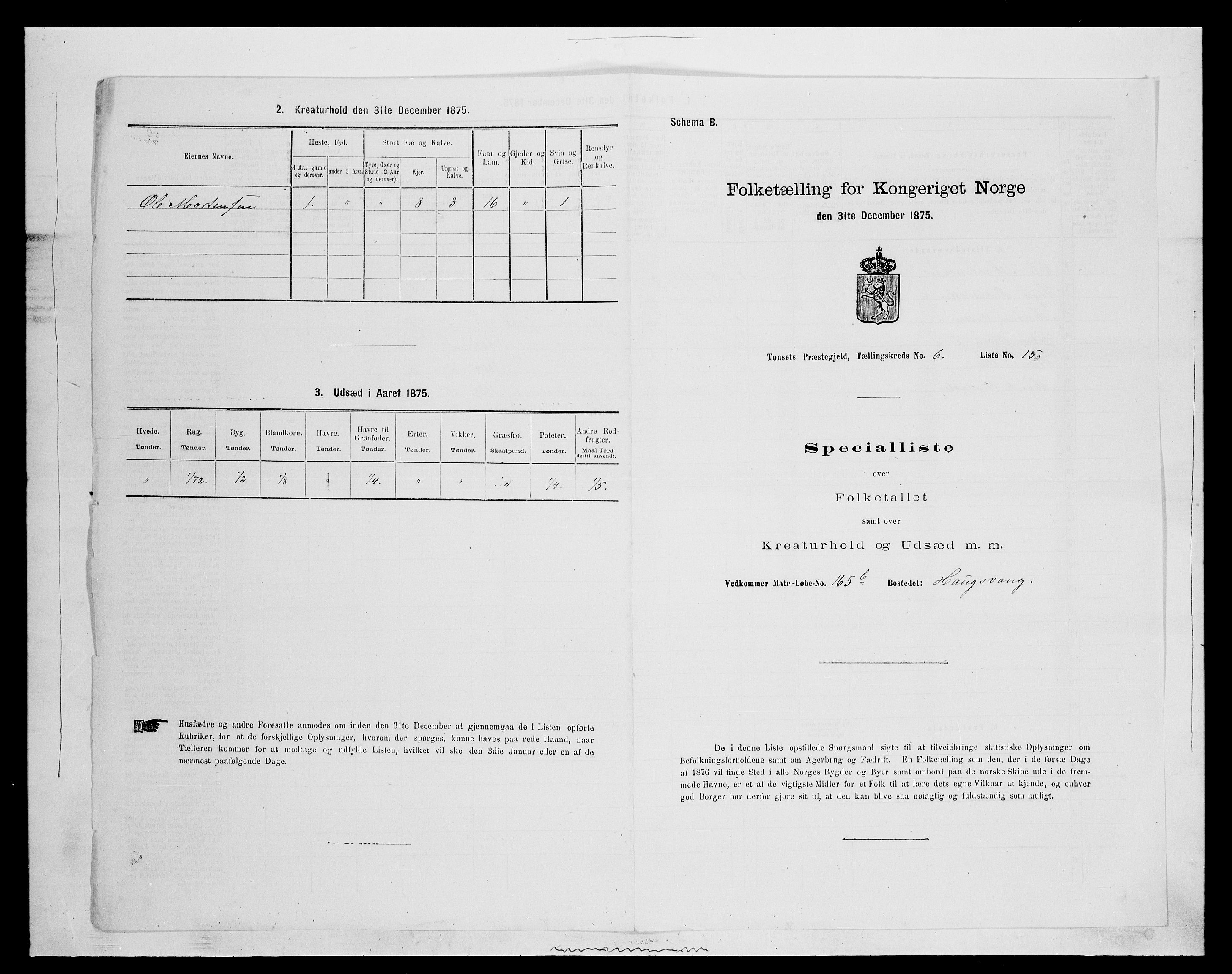 SAH, Folketelling 1875 for 0437P Tynset prestegjeld, 1875, s. 720