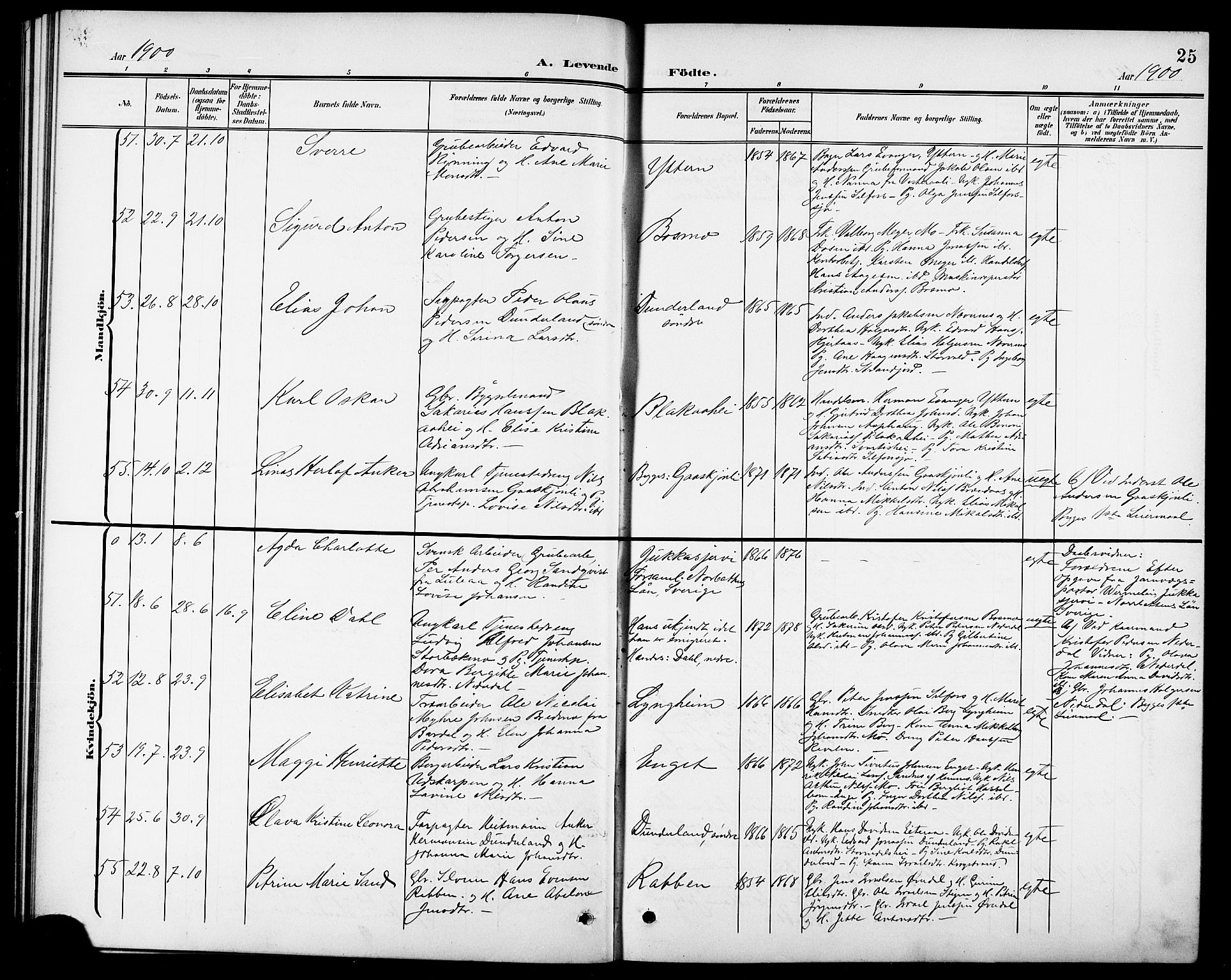 Ministerialprotokoller, klokkerbøker og fødselsregistre - Nordland, SAT/A-1459/827/L0422: Klokkerbok nr. 827C11, 1899-1912, s. 25