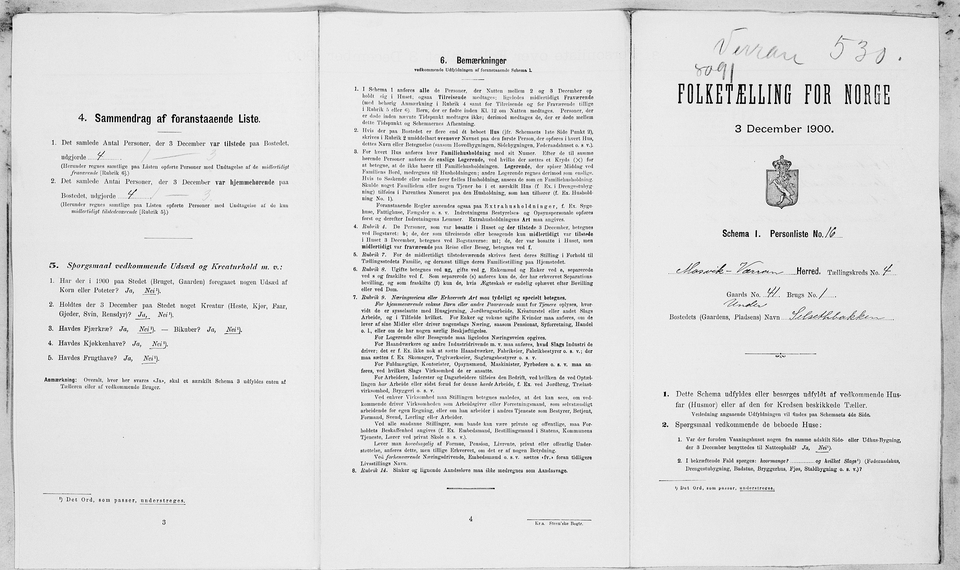 SAT, Folketelling 1900 for 1723 Mosvik og Verran herred, 1900, s. 38