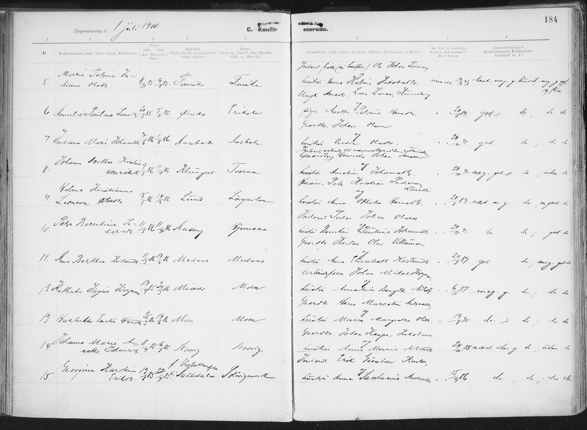 Ministerialprotokoller, klokkerbøker og fødselsregistre - Nordland, AV/SAT-A-1459/849/L0696: Ministerialbok nr. 849A08, 1898-1910, s. 184