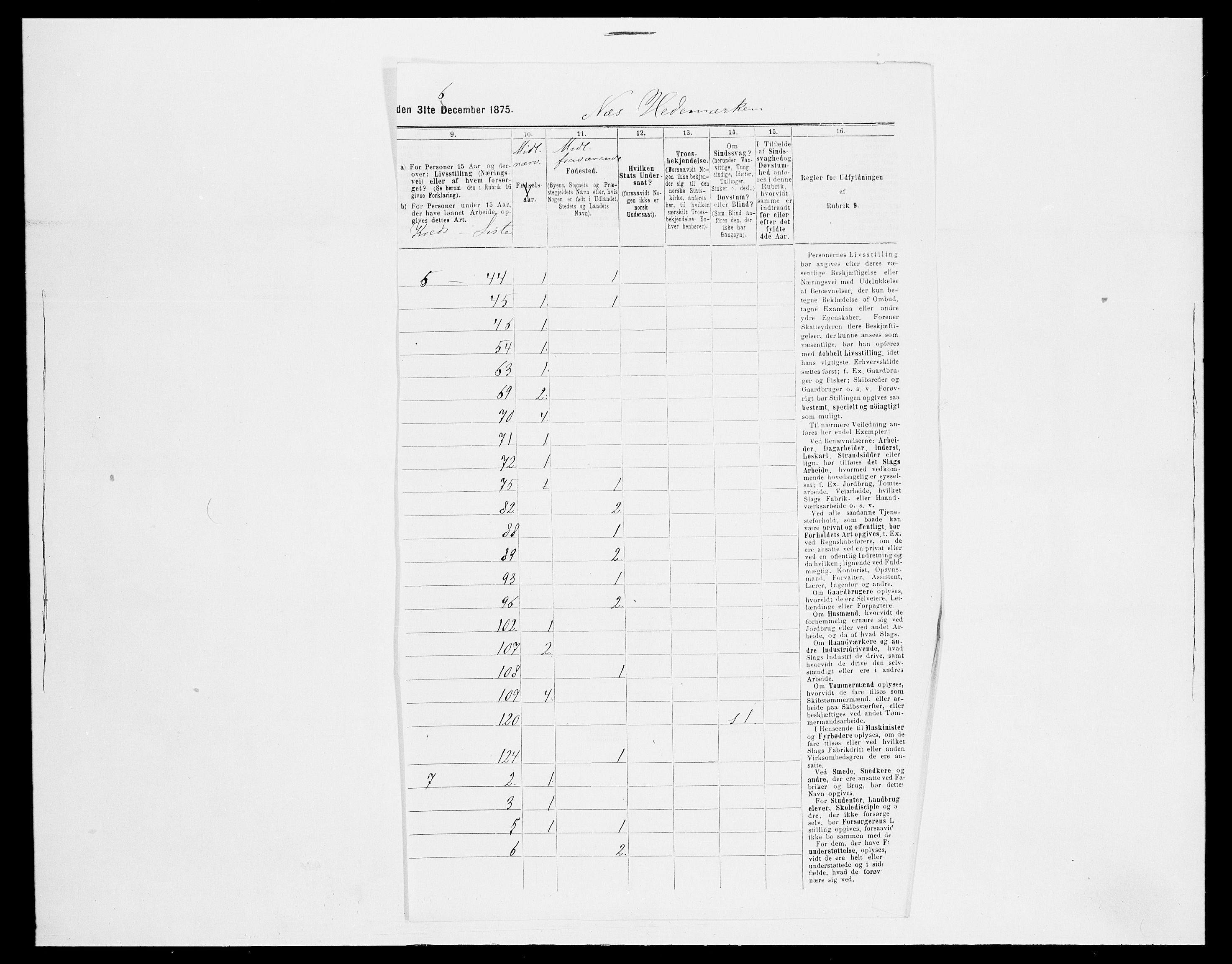 SAH, Folketelling 1875 for 0411P Nes prestegjeld, 1875, s. 22