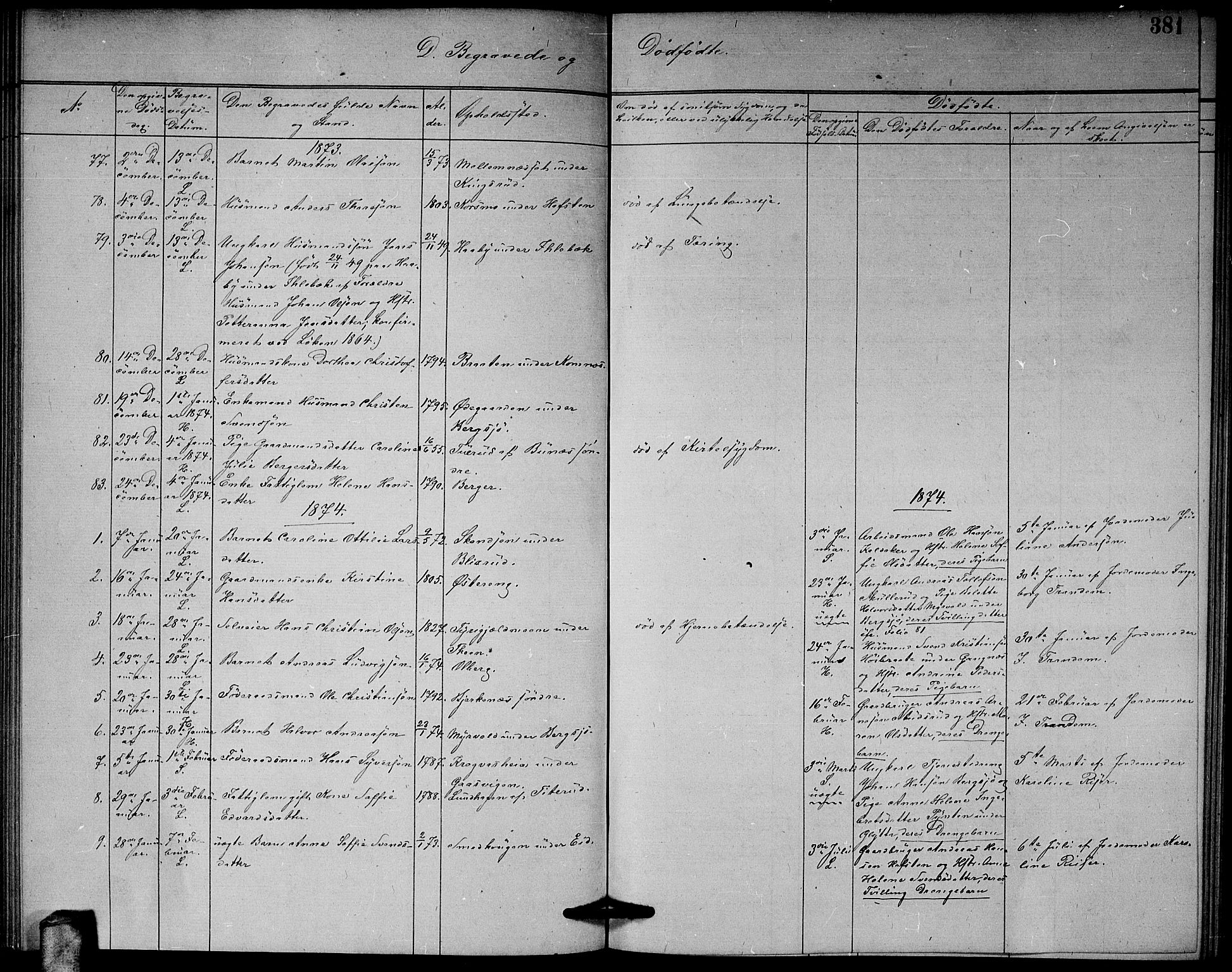 Høland prestekontor Kirkebøker, AV/SAO-A-10346a/G/Ga/L0006: Klokkerbok nr. I 6, 1869-1879, s. 381