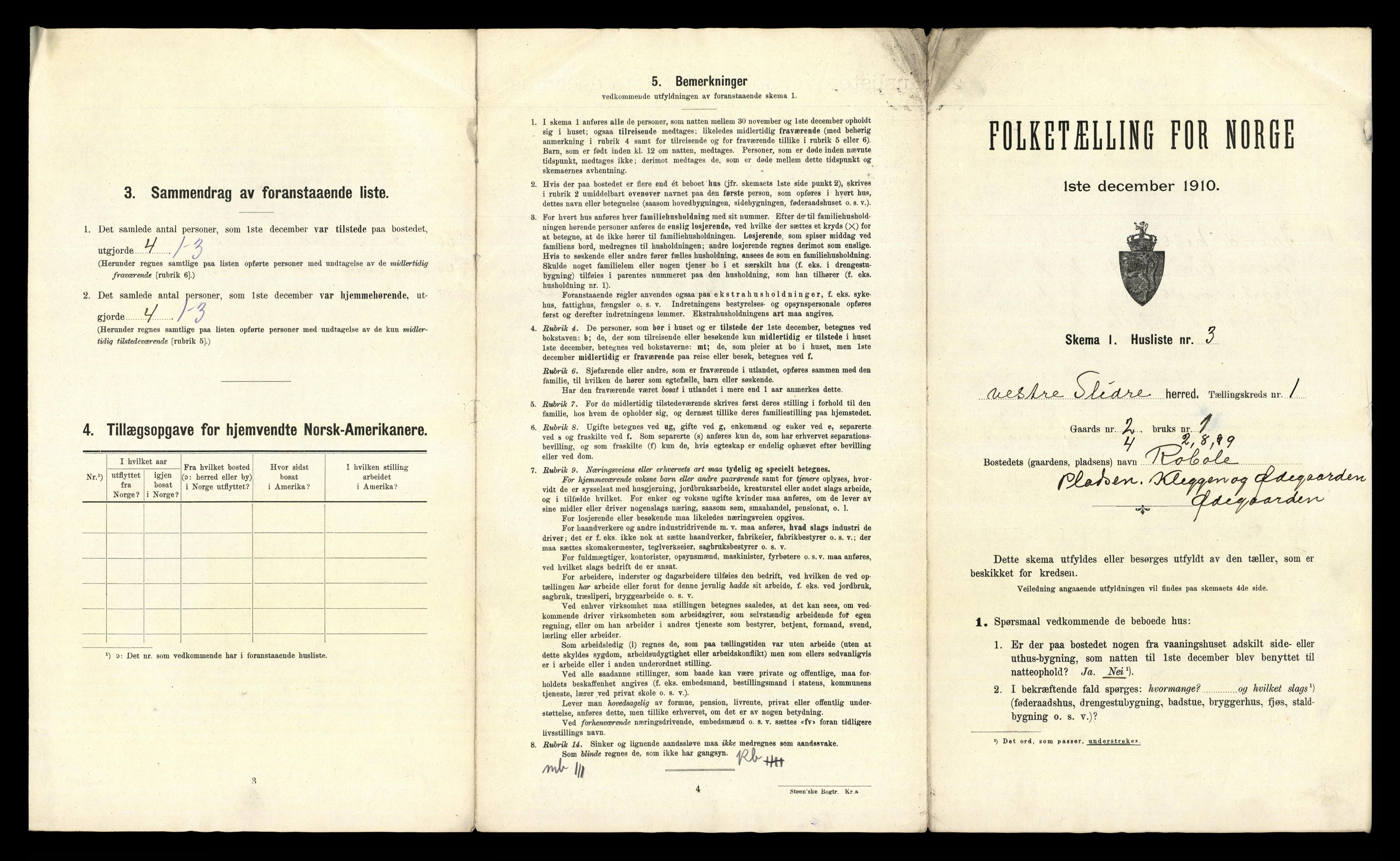 RA, Folketelling 1910 for 0543 Vestre Slidre herred, 1910, s. 49