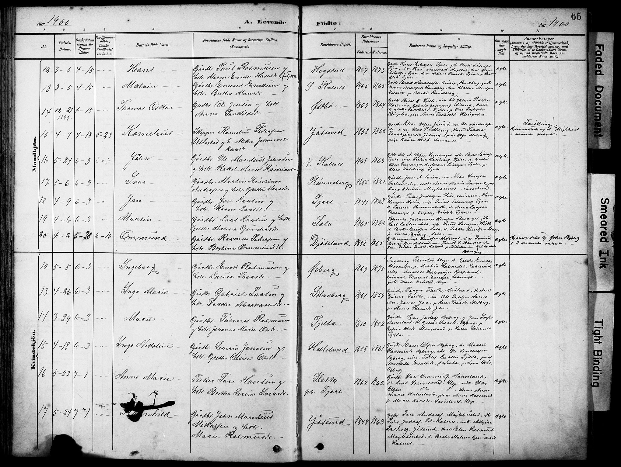 Håland sokneprestkontor, AV/SAST-A-101802/001/30BA/L0012: Ministerialbok nr. A 11, 1889-1900, s. 65
