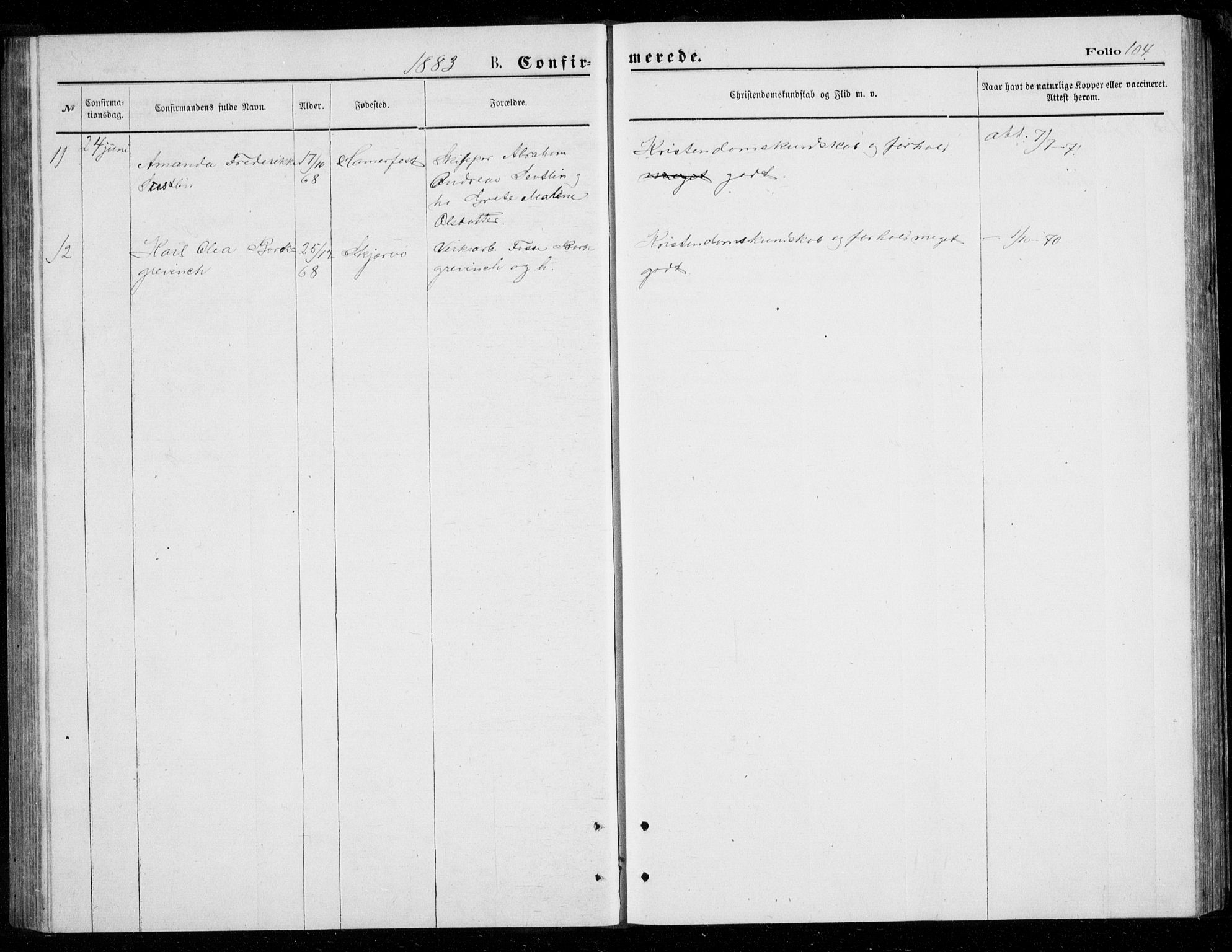 Berg sokneprestkontor, SATØ/S-1318/G/Ga/Gab/L0003klokker: Klokkerbok nr. 3, 1874-1886, s. 104