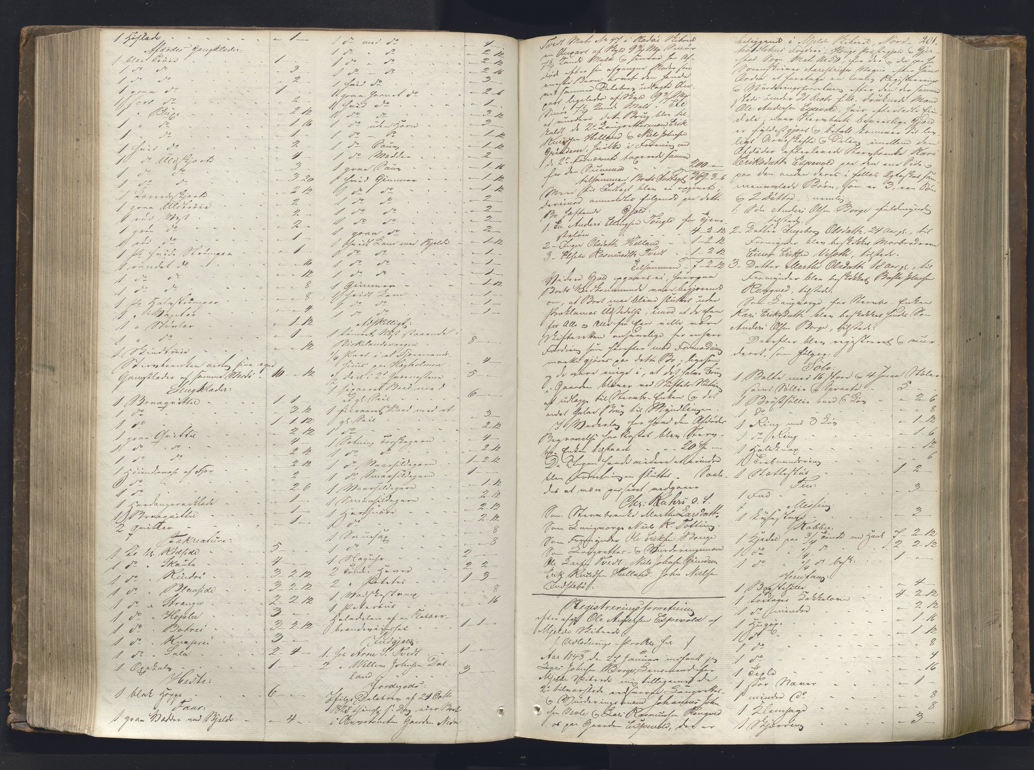 Nordhordland sorenskrivar, AV/SAB-A-2901/1/H/Hb/L0001: Registreringsprotokollar, 1841-1845, s. 201