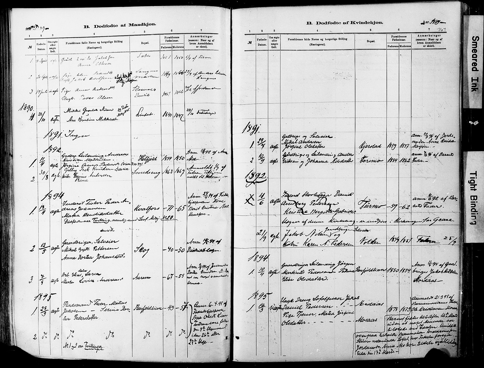 Ministerialprotokoller, klokkerbøker og fødselsregistre - Nordland, AV/SAT-A-1459/820/L0295: Ministerialbok nr. 820A16, 1880-1896, s. 161