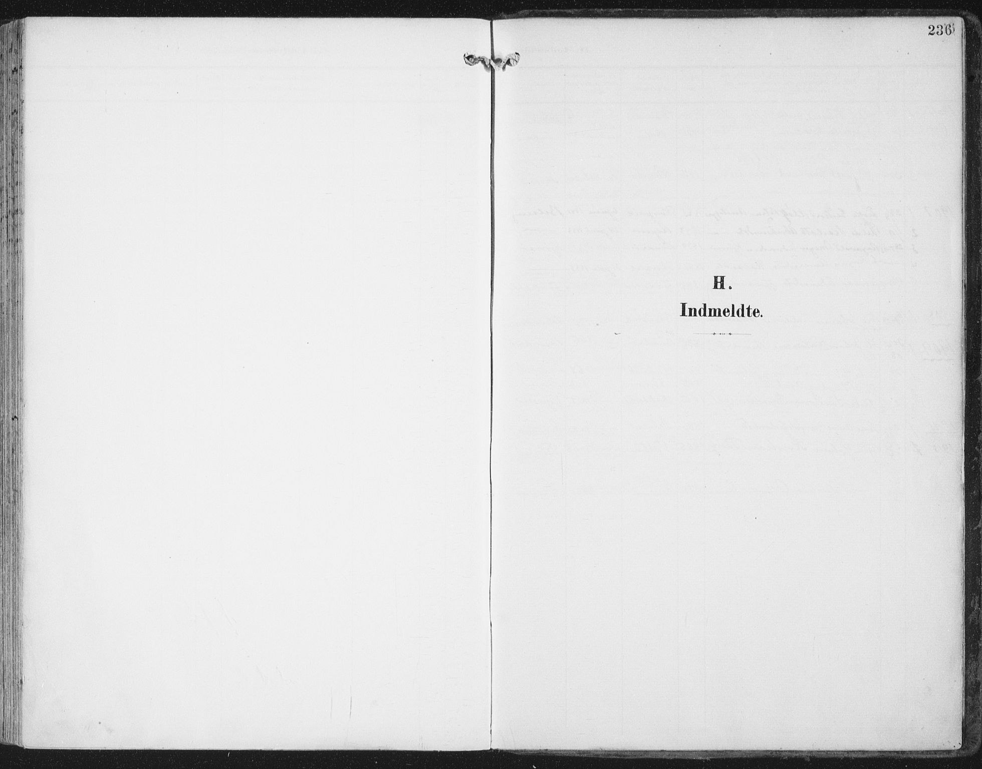 Ministerialprotokoller, klokkerbøker og fødselsregistre - Nord-Trøndelag, AV/SAT-A-1458/786/L0688: Ministerialbok nr. 786A04, 1899-1912, s. 236