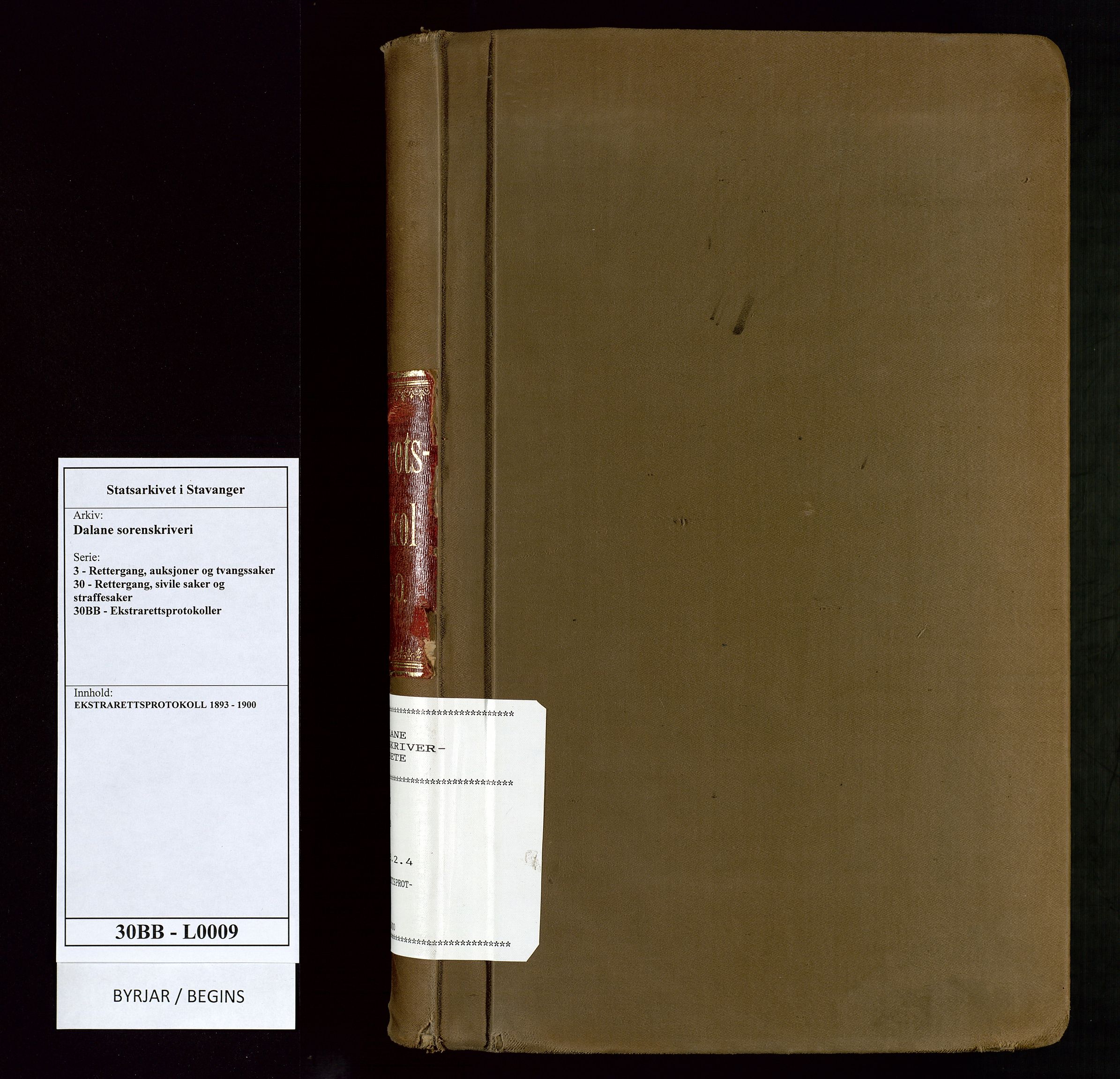 Dalane sorenskriveri, SAST/A-100309/001/3/30/30BB/L0009: EKSTRARETTSPROTOKOLL, 1893-1900