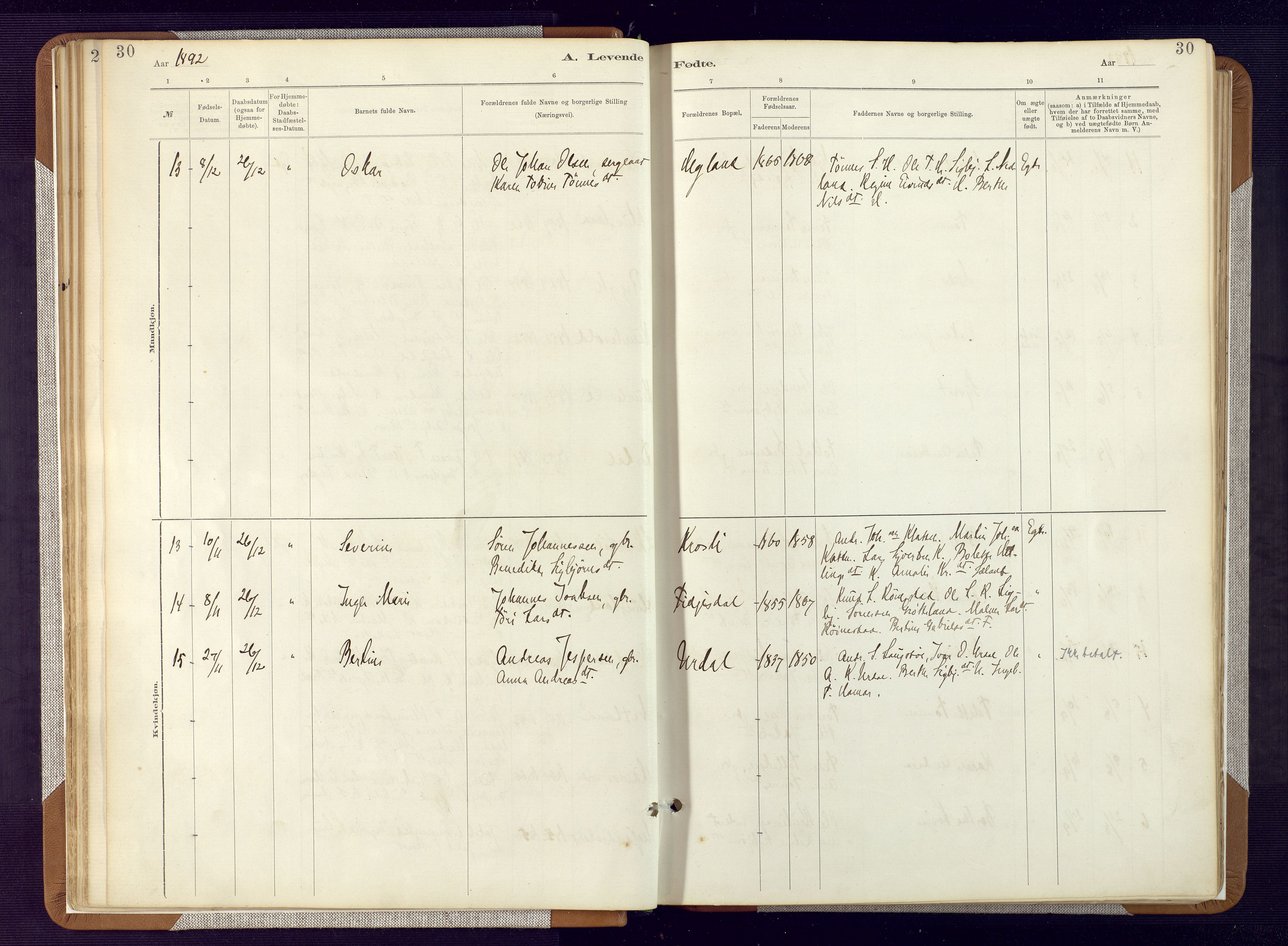 Bakke sokneprestkontor, SAK/1111-0002/F/Fa/Fab/L0003: Ministerialbok nr. A 3, 1884-1921, s. 30
