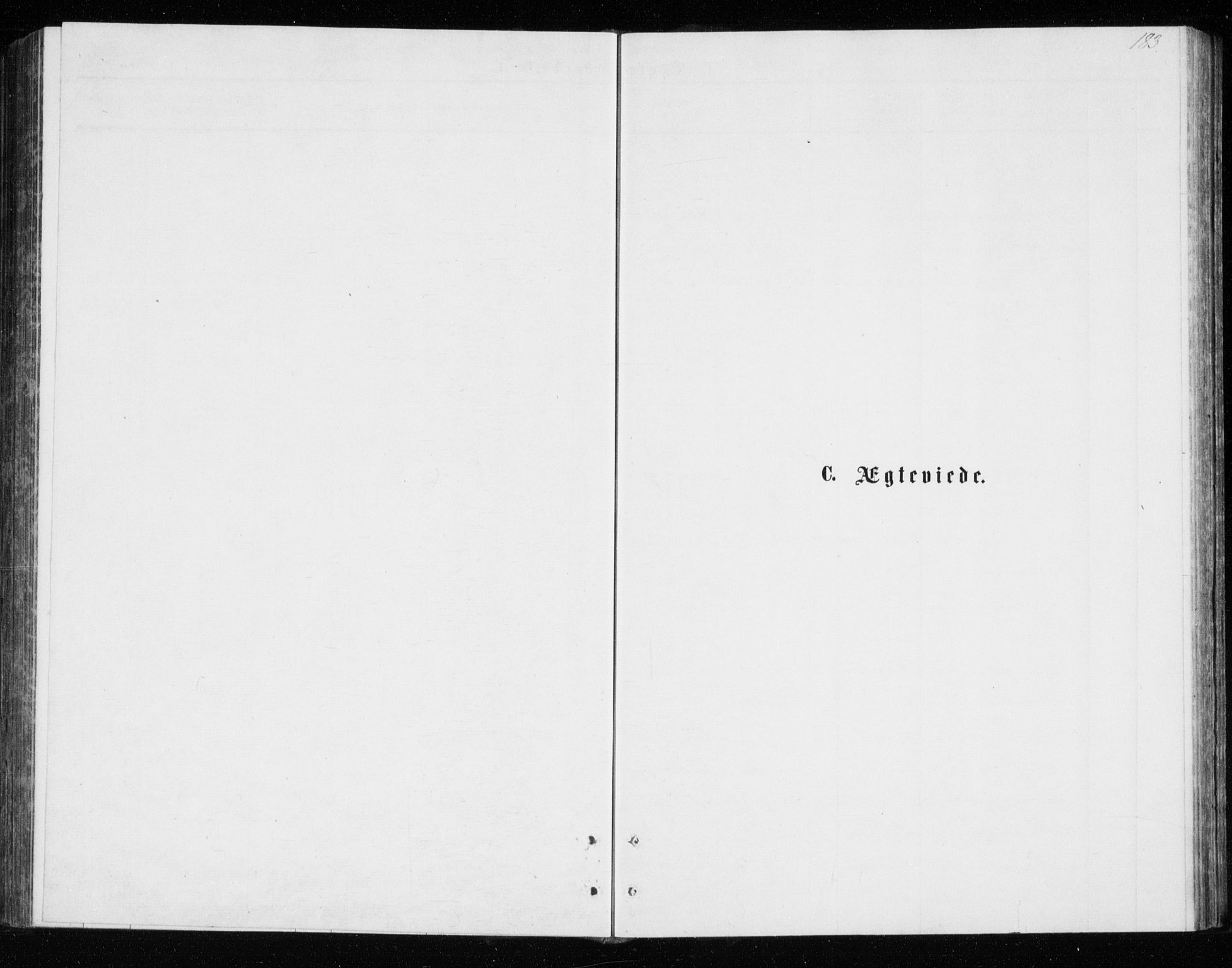 Tromsø sokneprestkontor/stiftsprosti/domprosti, SATØ/S-1343/G/Gb/L0008klokker: Klokkerbok nr. 8, 1875-1879, s. 183