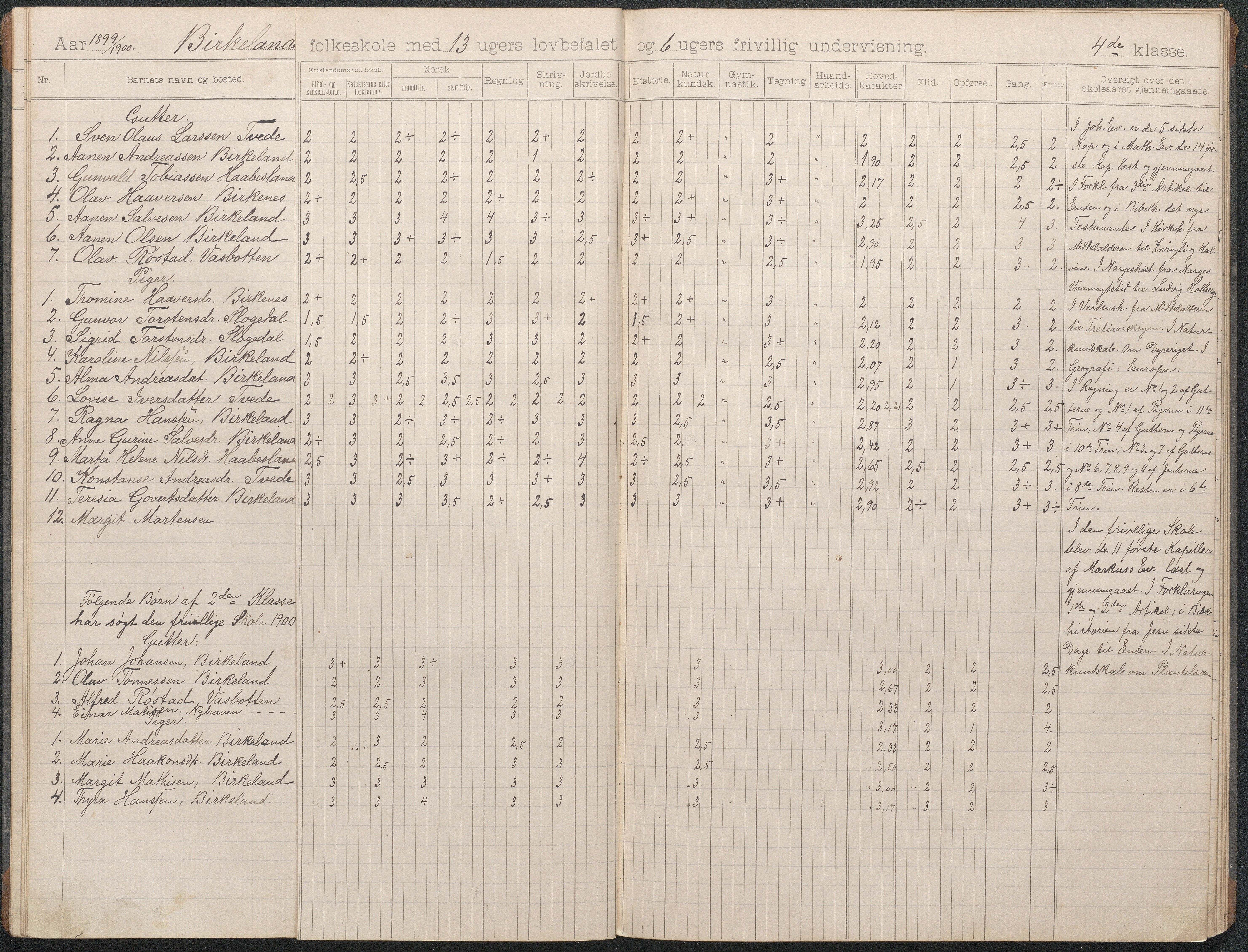 Birkenes kommune, Birkenes krets/Birkeland folkeskole frem til 1991, AAKS/KA0928-550a_91/F02/L0004: Skoleprotokoll, 1896-1907