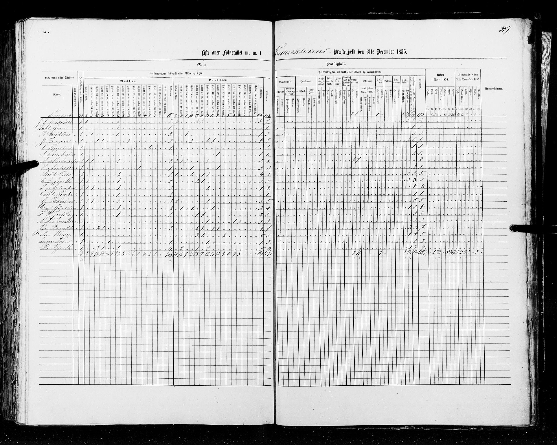 RA, Folketellingen 1855, bind 2: Kristians amt, Buskerud amt og Jarlsberg og Larvik amt, 1855, s. 357