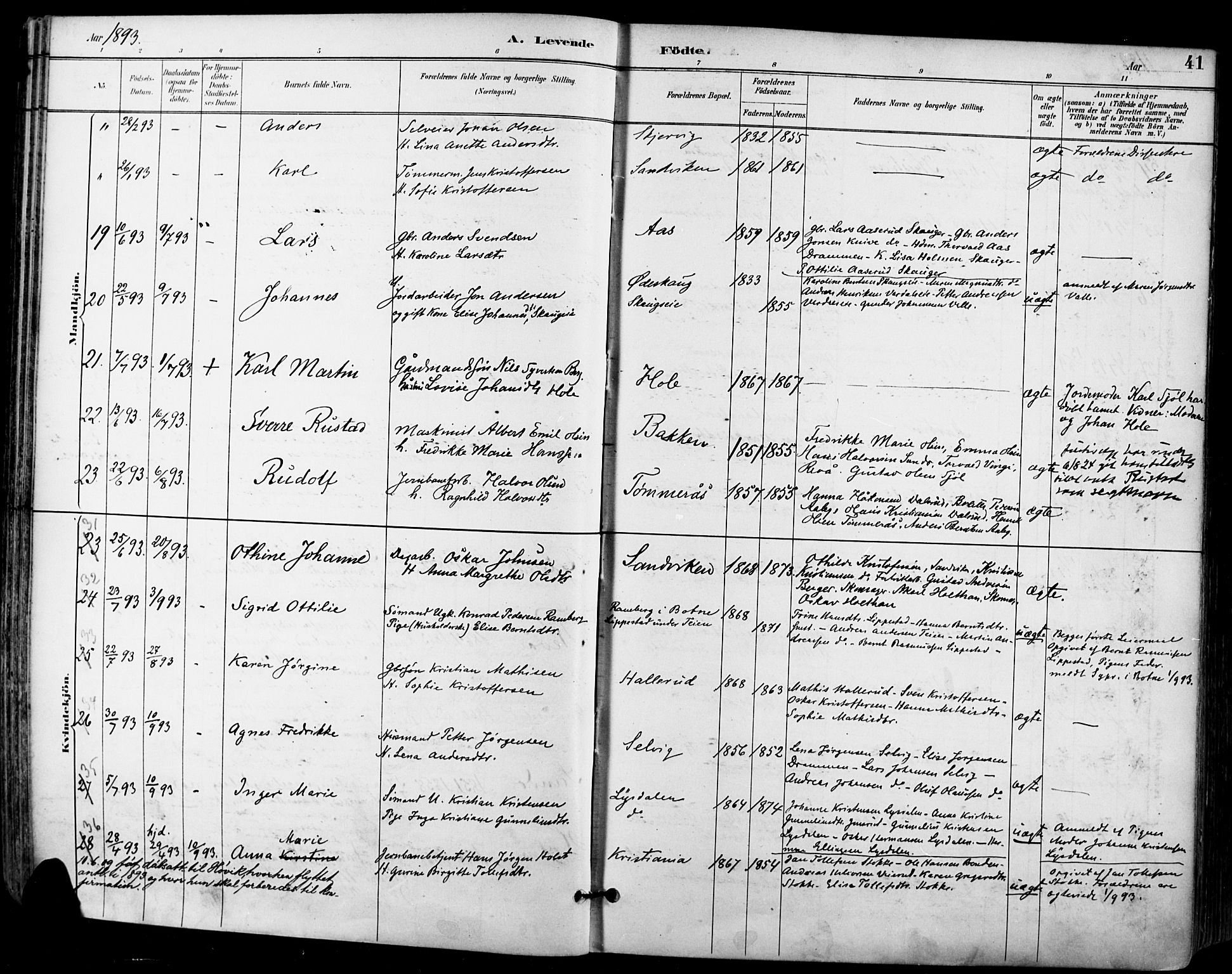 Sande Kirkebøker, AV/SAKO-A-53/F/Fa/L0007: Ministerialbok nr. 7, 1888-1903, s. 41