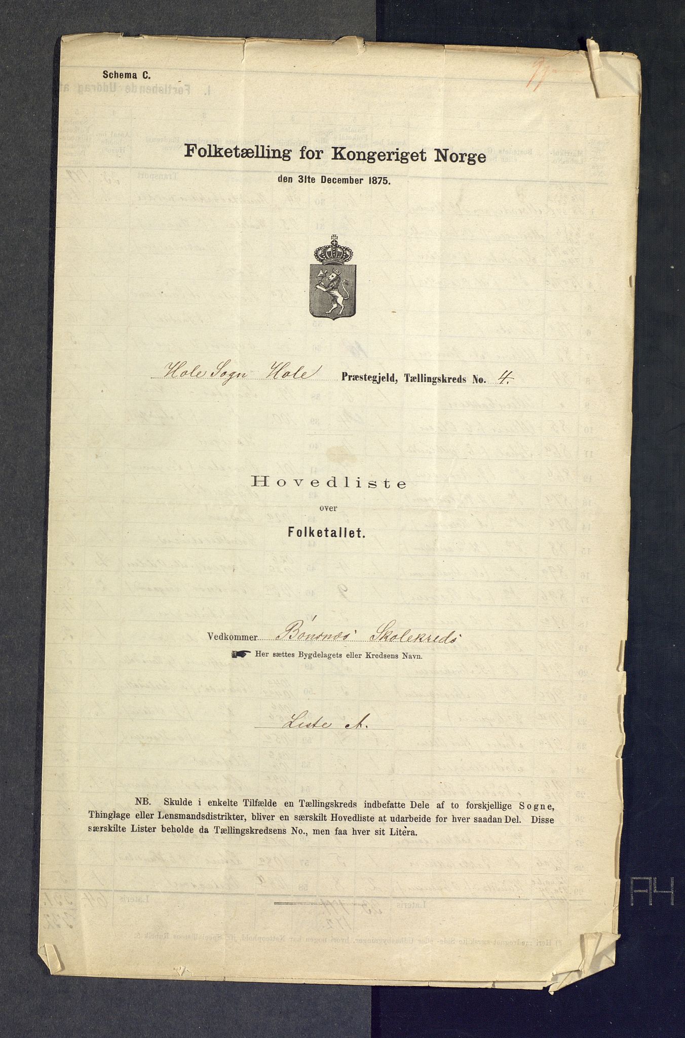 SAKO, Folketelling 1875 for 0612P Hole prestegjeld, 1875, s. 17