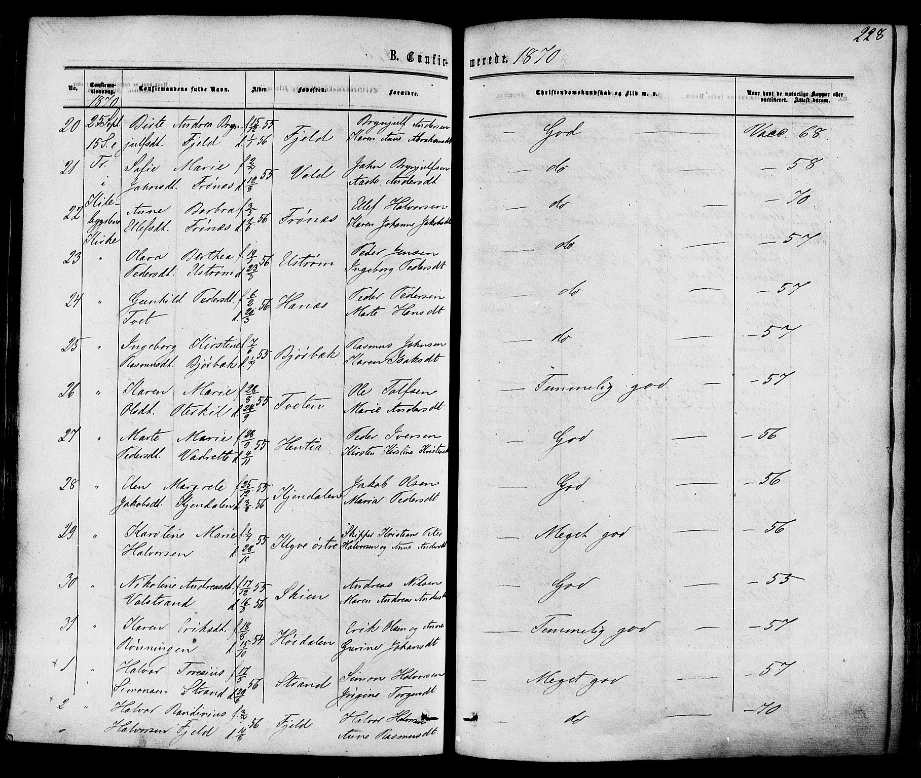 Solum kirkebøker, AV/SAKO-A-306/F/Fa/L0008: Ministerialbok nr. I 8, 1865-1876, s. 228