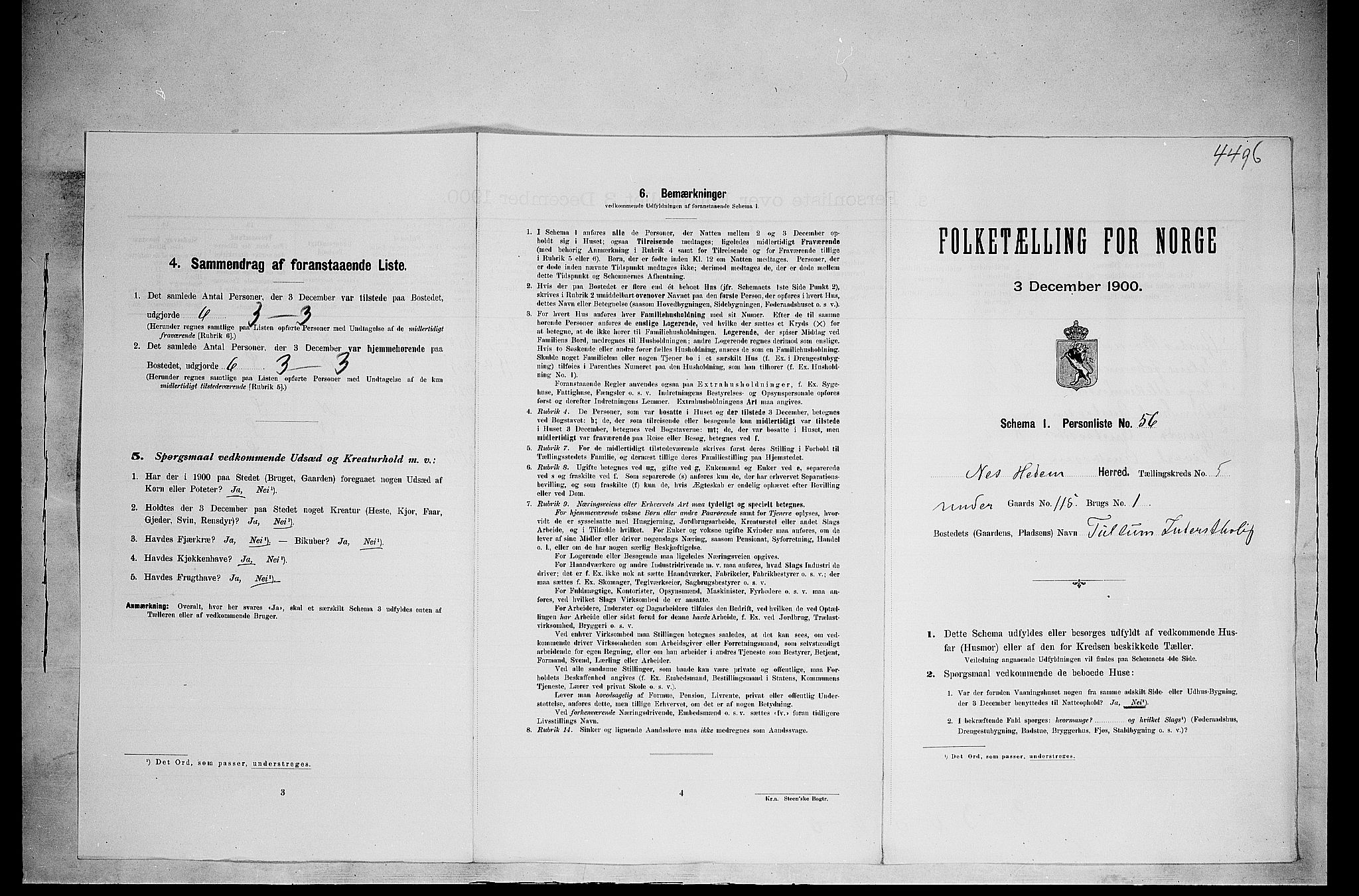 SAH, Folketelling 1900 for 0411 Nes herred, 1900, s. 814