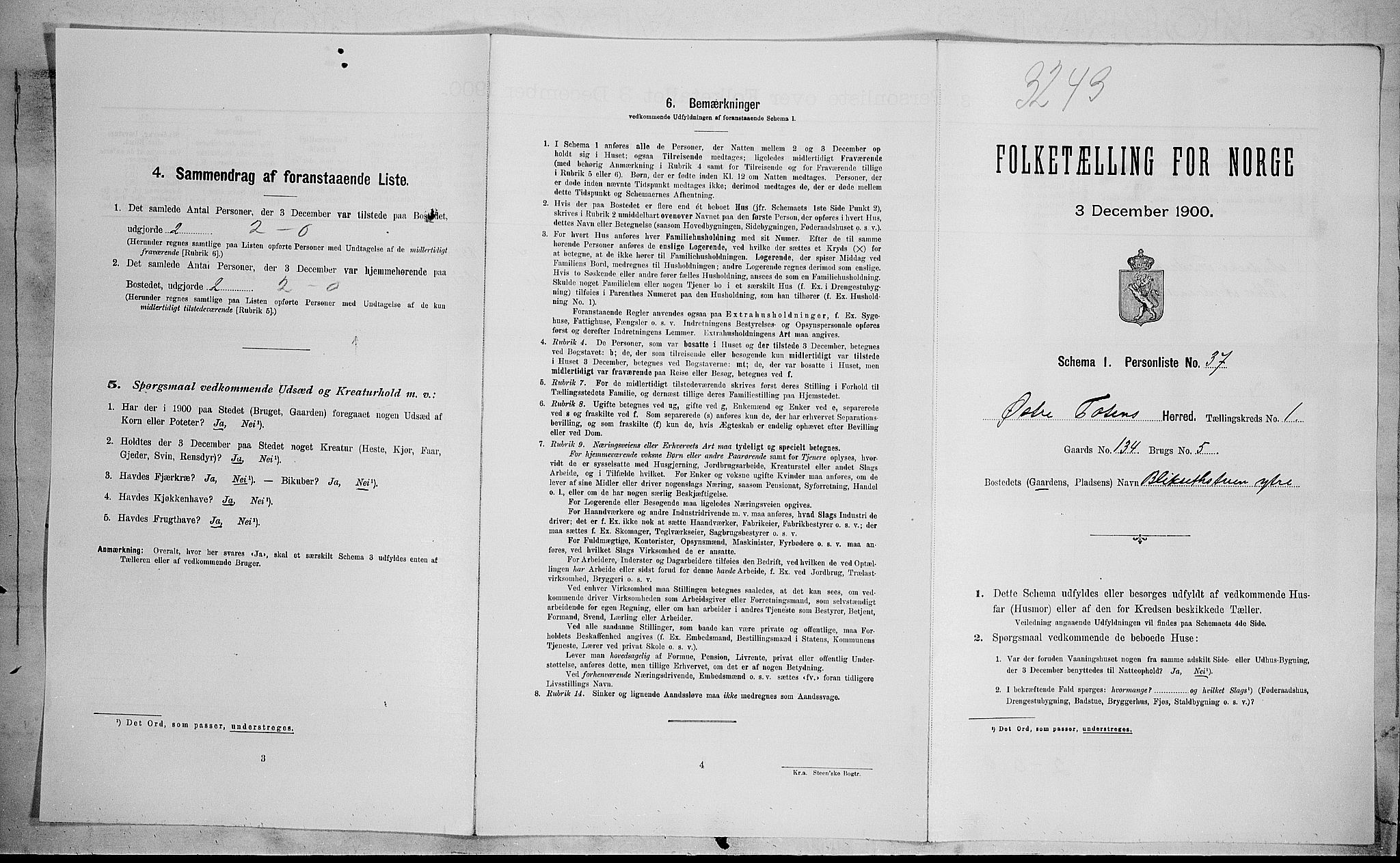 SAH, Folketelling 1900 for 0528 Østre Toten herred, 1900, s. 271