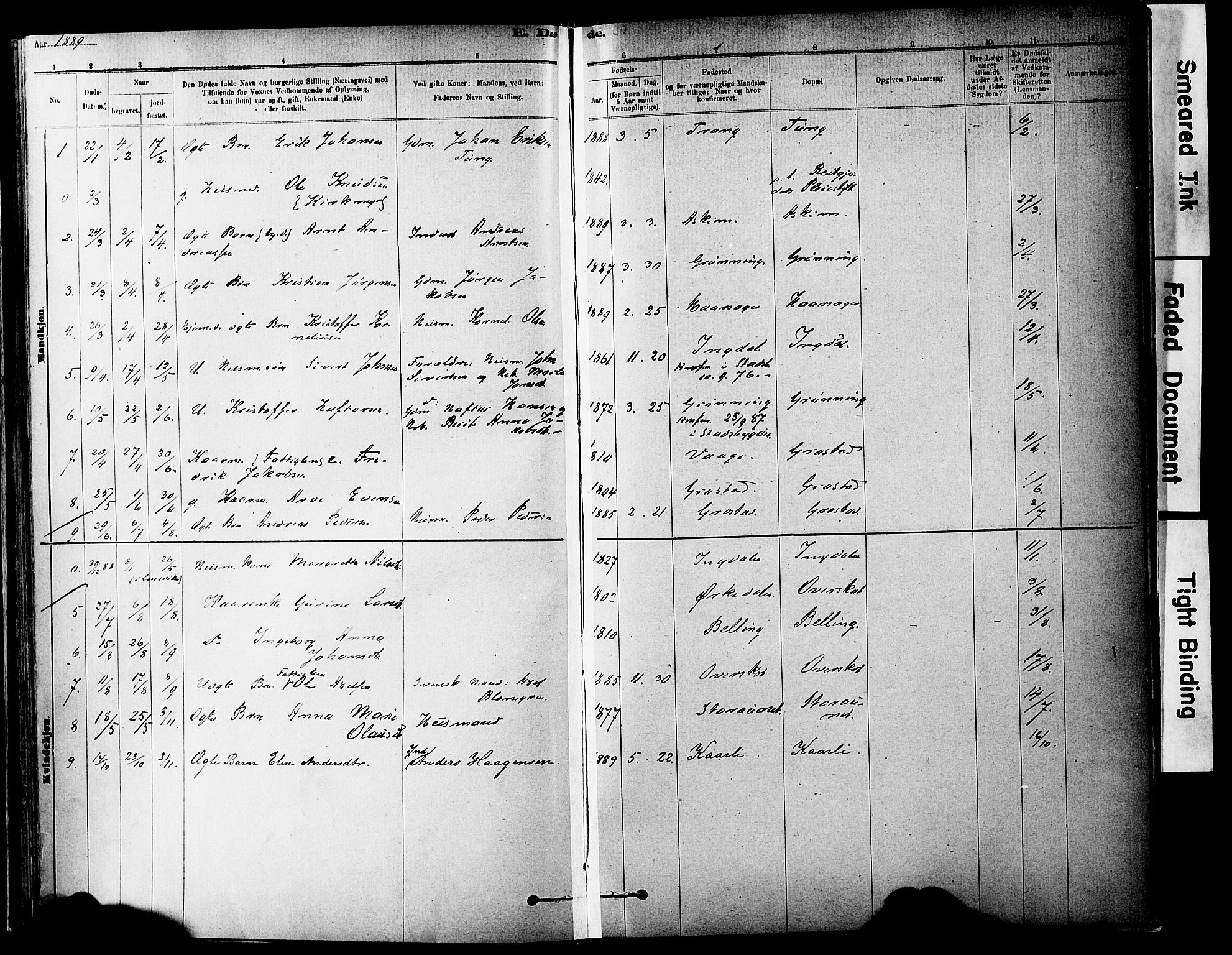 Ministerialprotokoller, klokkerbøker og fødselsregistre - Sør-Trøndelag, AV/SAT-A-1456/646/L0615: Ministerialbok nr. 646A13, 1885-1900