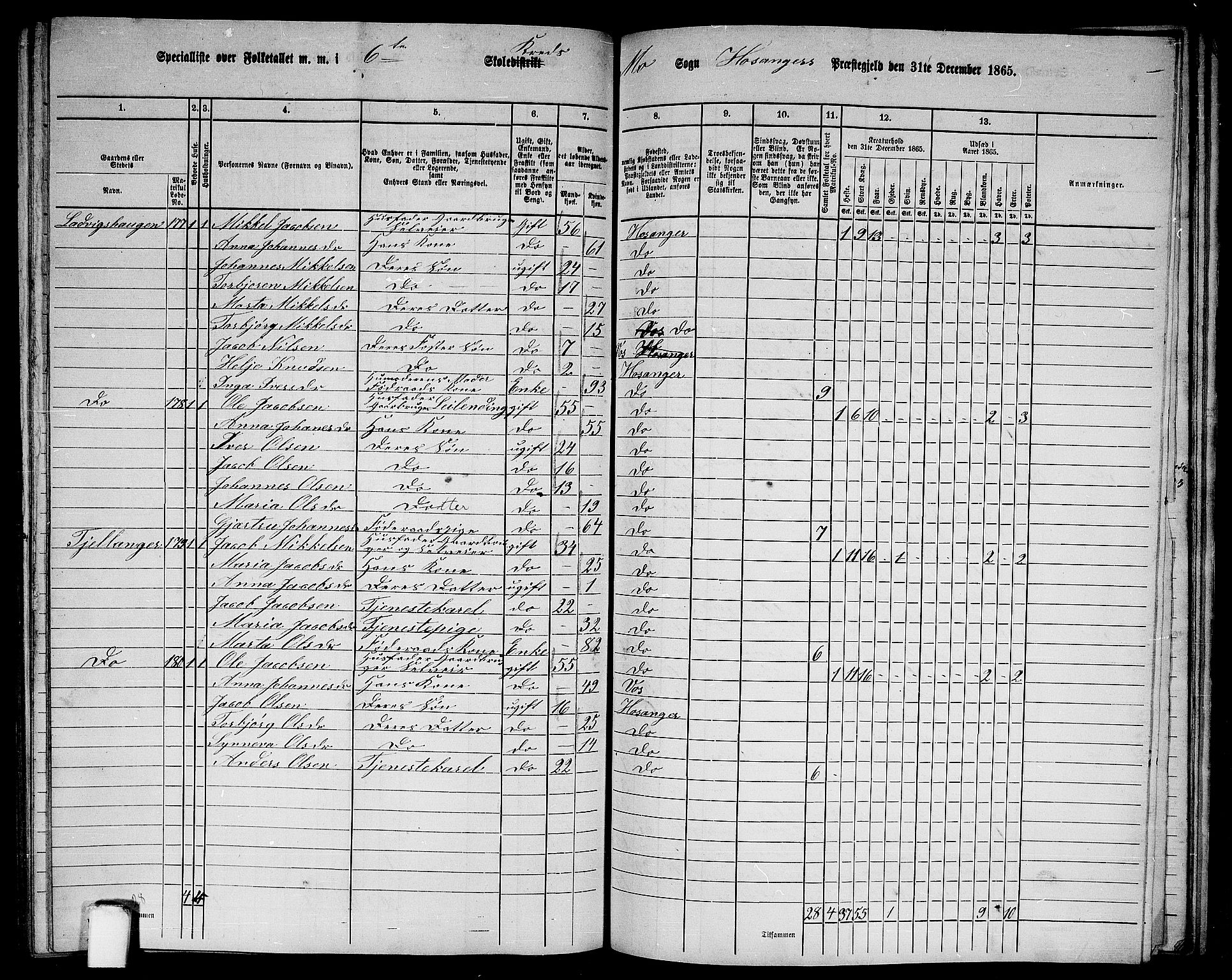 RA, Folketelling 1865 for 1253P Hosanger prestegjeld, 1865, s. 145