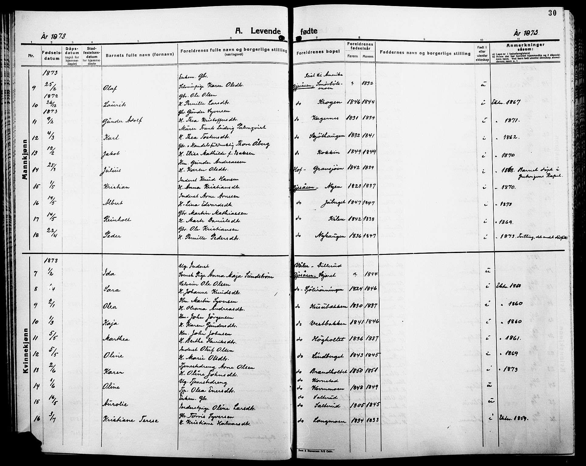 Åsnes prestekontor, AV/SAH-PREST-042/H/Ha/Haa/L0000B: Ministerialbok, 1870-1889, s. 30
