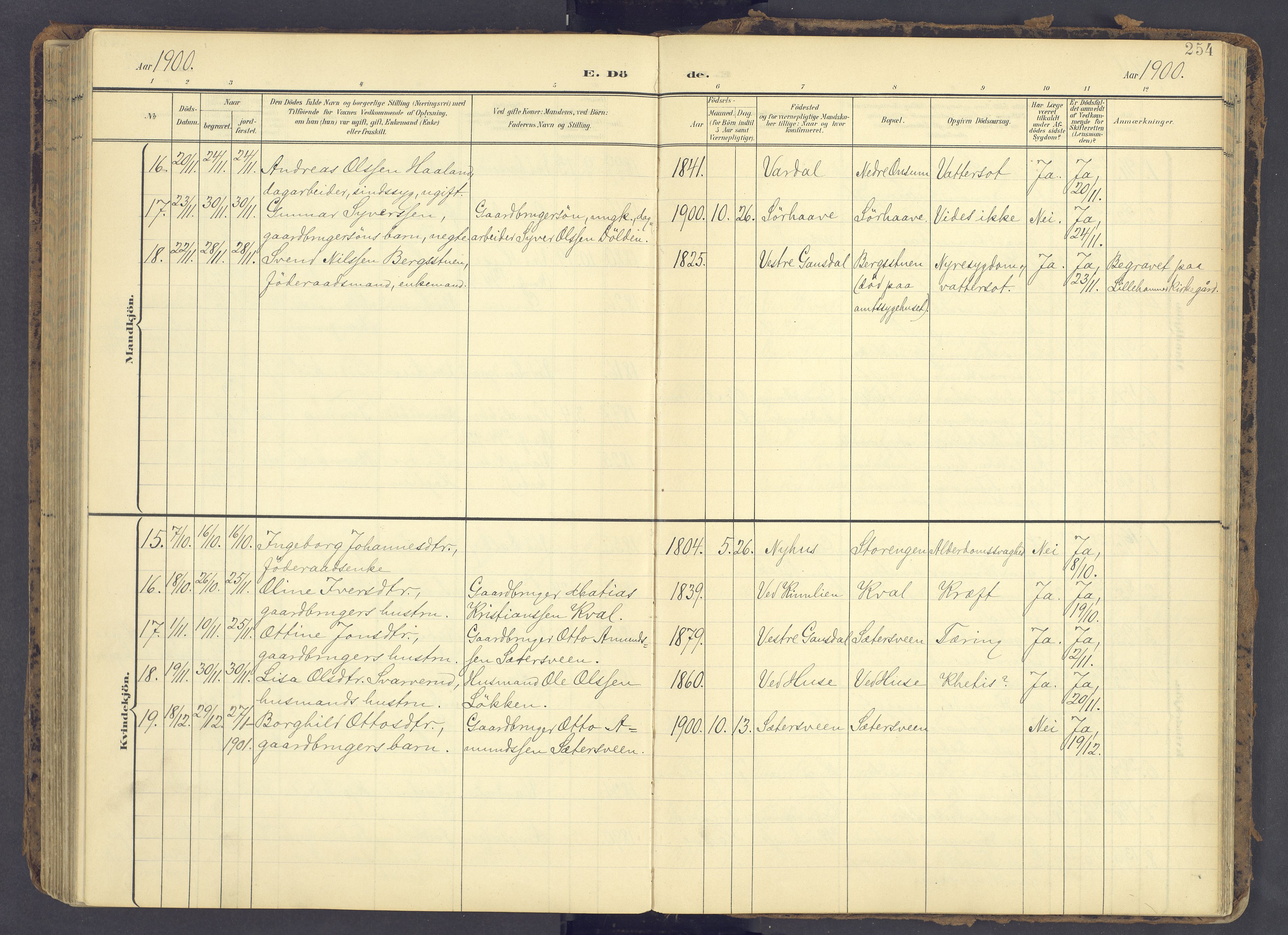 Fåberg prestekontor, SAH/PREST-086/H/Ha/Haa/L0012: Ministerialbok nr. 12, 1899-1915, s. 254