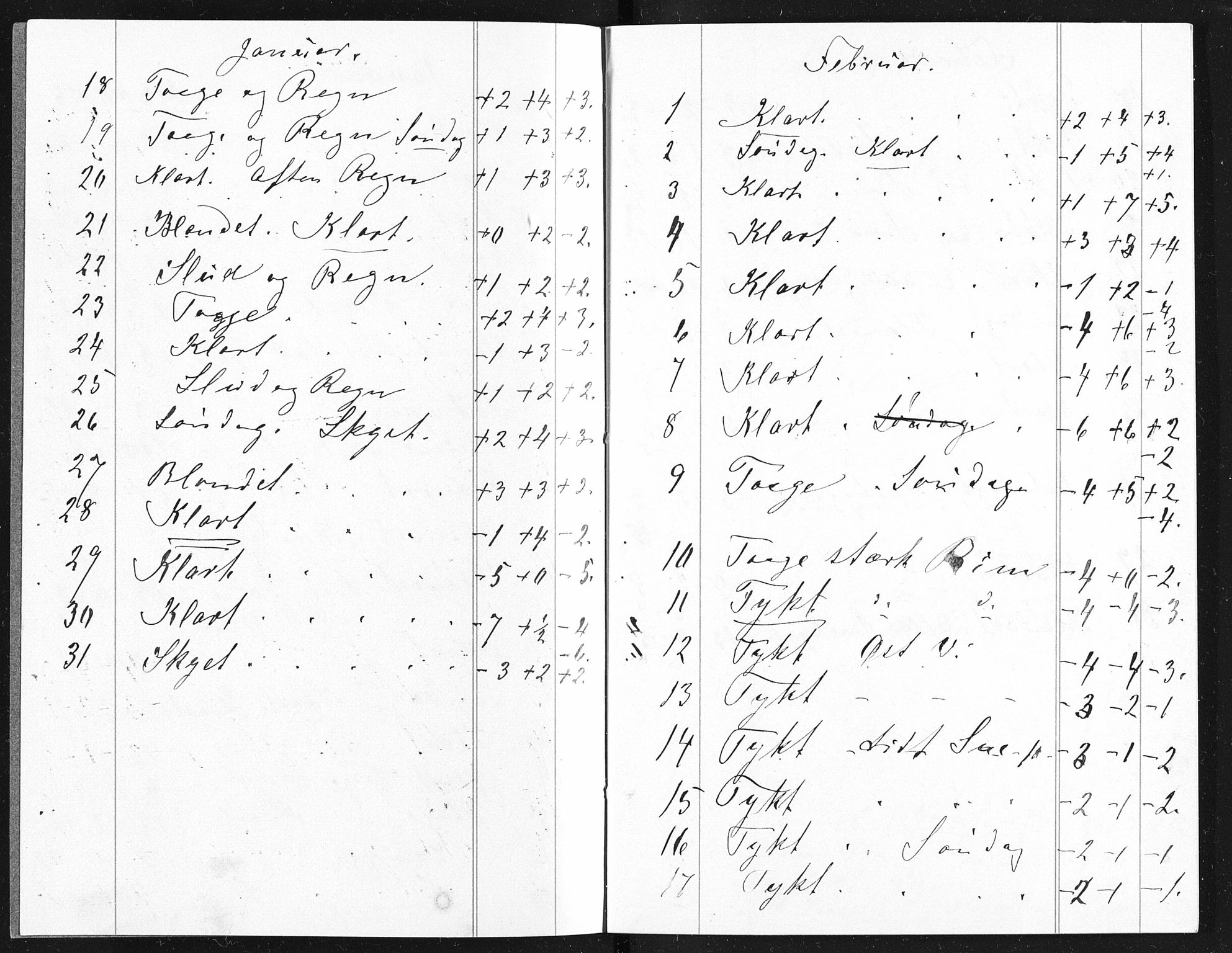 Familien Aalls privatarkiv , NESJ/NJM-005/E-00003/L0001/0003/0019: Dag- og notatbøker / Dølner dagbokpakke 001, 1890