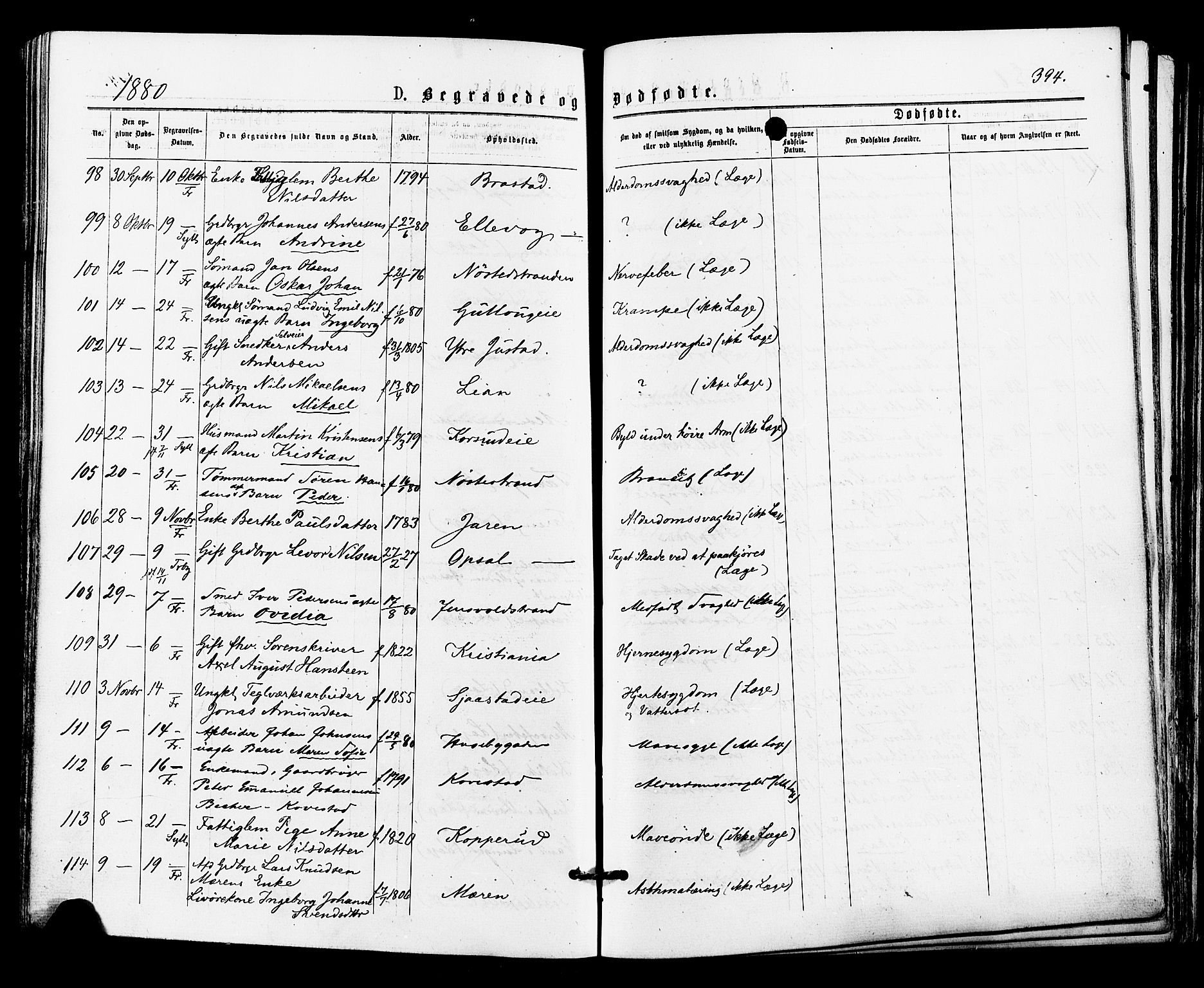 Lier kirkebøker, AV/SAKO-A-230/F/Fa/L0014: Ministerialbok nr. I 14, 1875-1882, s. 394