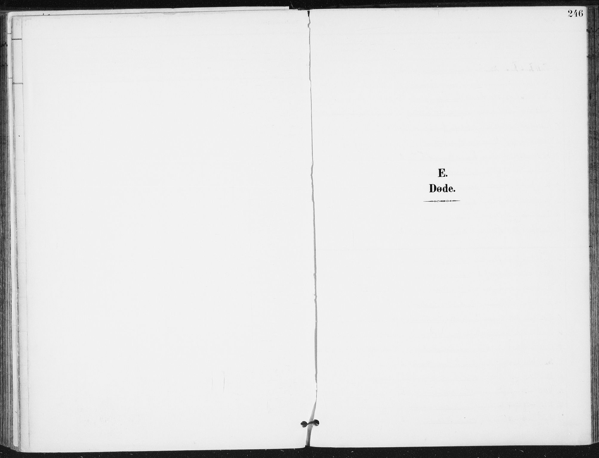 Romedal prestekontor, AV/SAH-PREST-004/K/L0011: Ministerialbok nr. 11, 1896-1912, s. 246