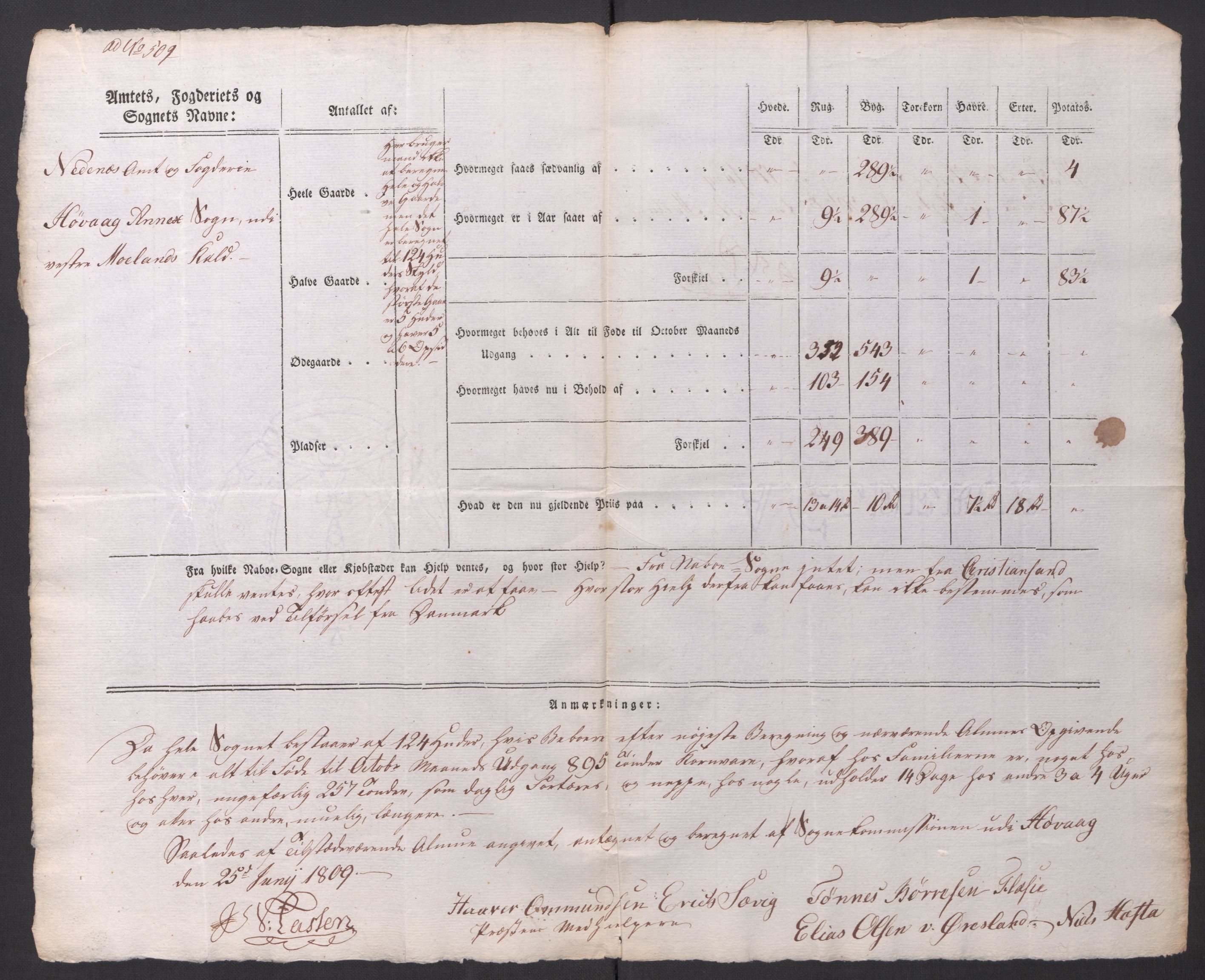 Regjeringskommisjonen 1807-1810, 1. kontor/byrå, AV/RA-EA-2871/Dd/L0014: Kornavl: De utfyldte skjemaer fra sognekommisjonene i Kristiania og Kristiansand stift, 1809, s. 310