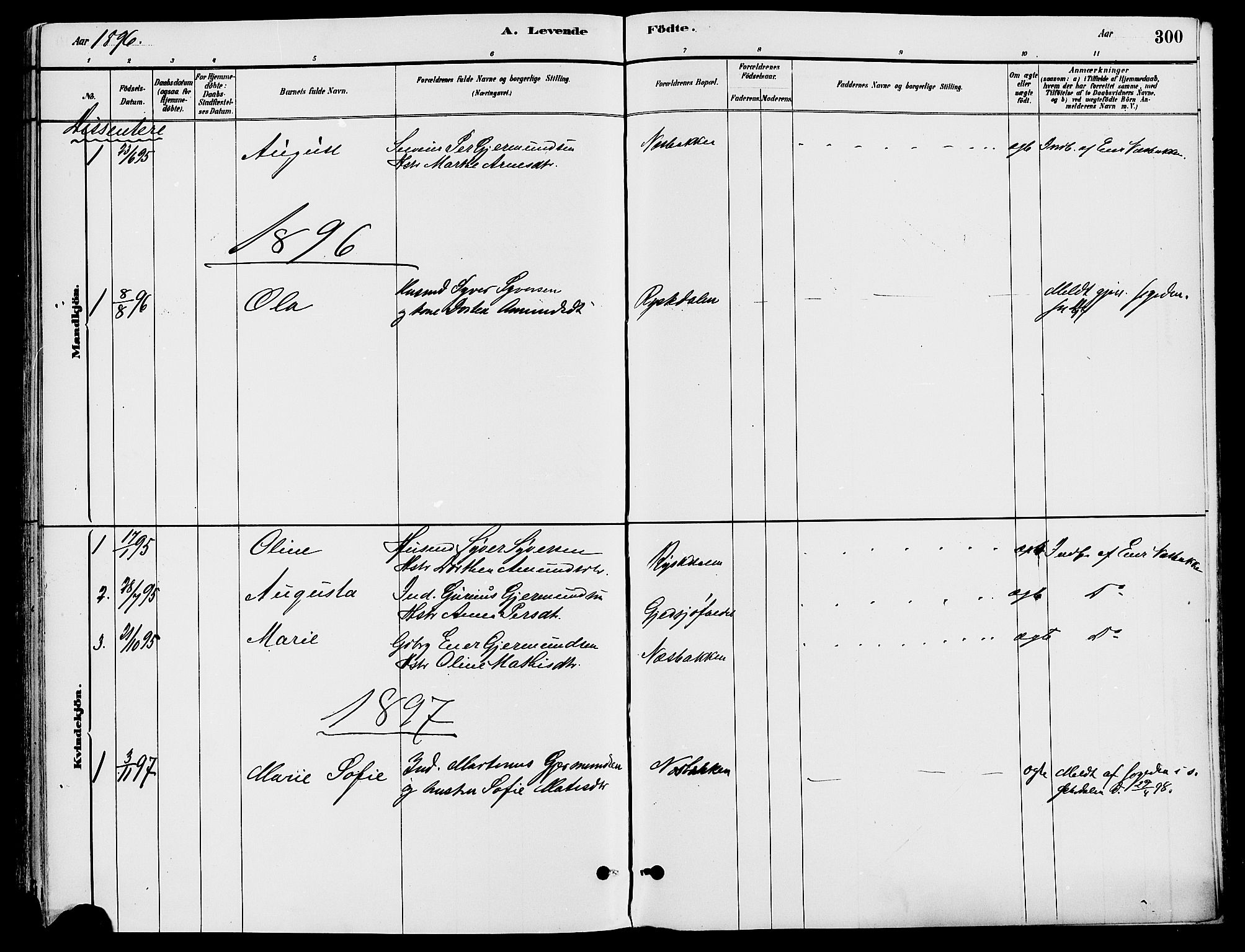 Trysil prestekontor, AV/SAH-PREST-046/H/Ha/Haa/L0008: Ministerialbok nr. 8, 1881-1897, s. 300