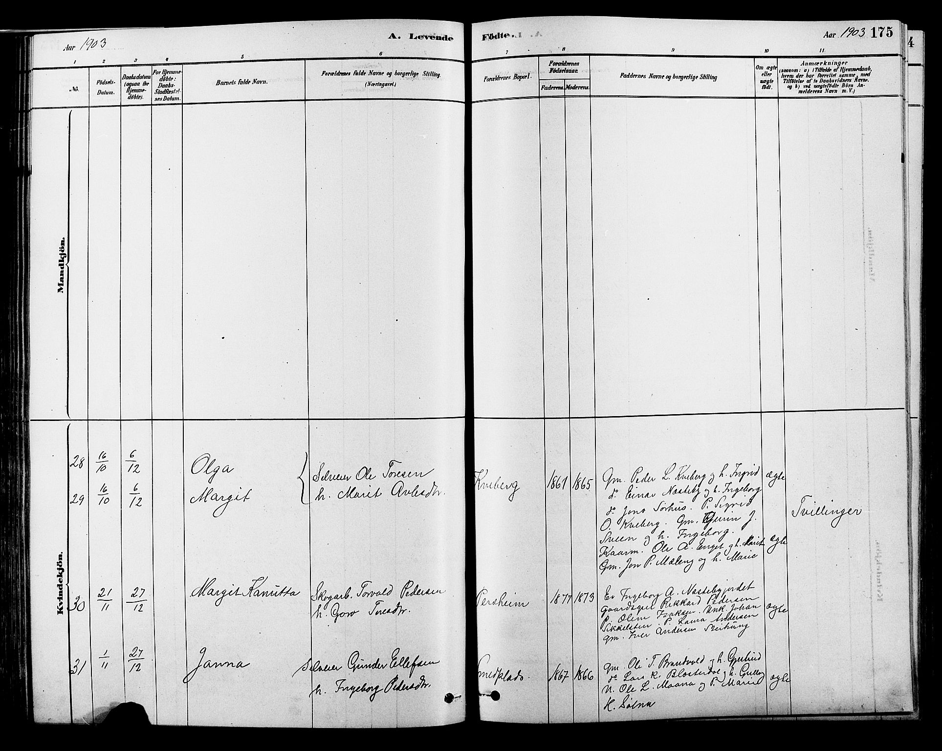 Alvdal prestekontor, AV/SAH-PREST-060/H/Ha/Hab/L0003: Klokkerbok nr. 3, 1878-1907, s. 175