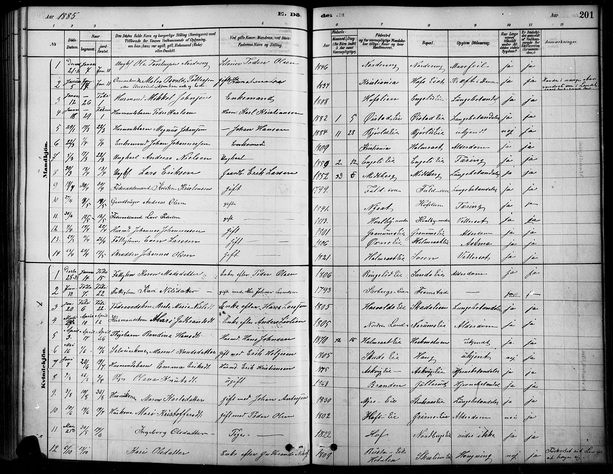 Søndre Land prestekontor, AV/SAH-PREST-122/K/L0003: Ministerialbok nr. 3, 1878-1894, s. 201