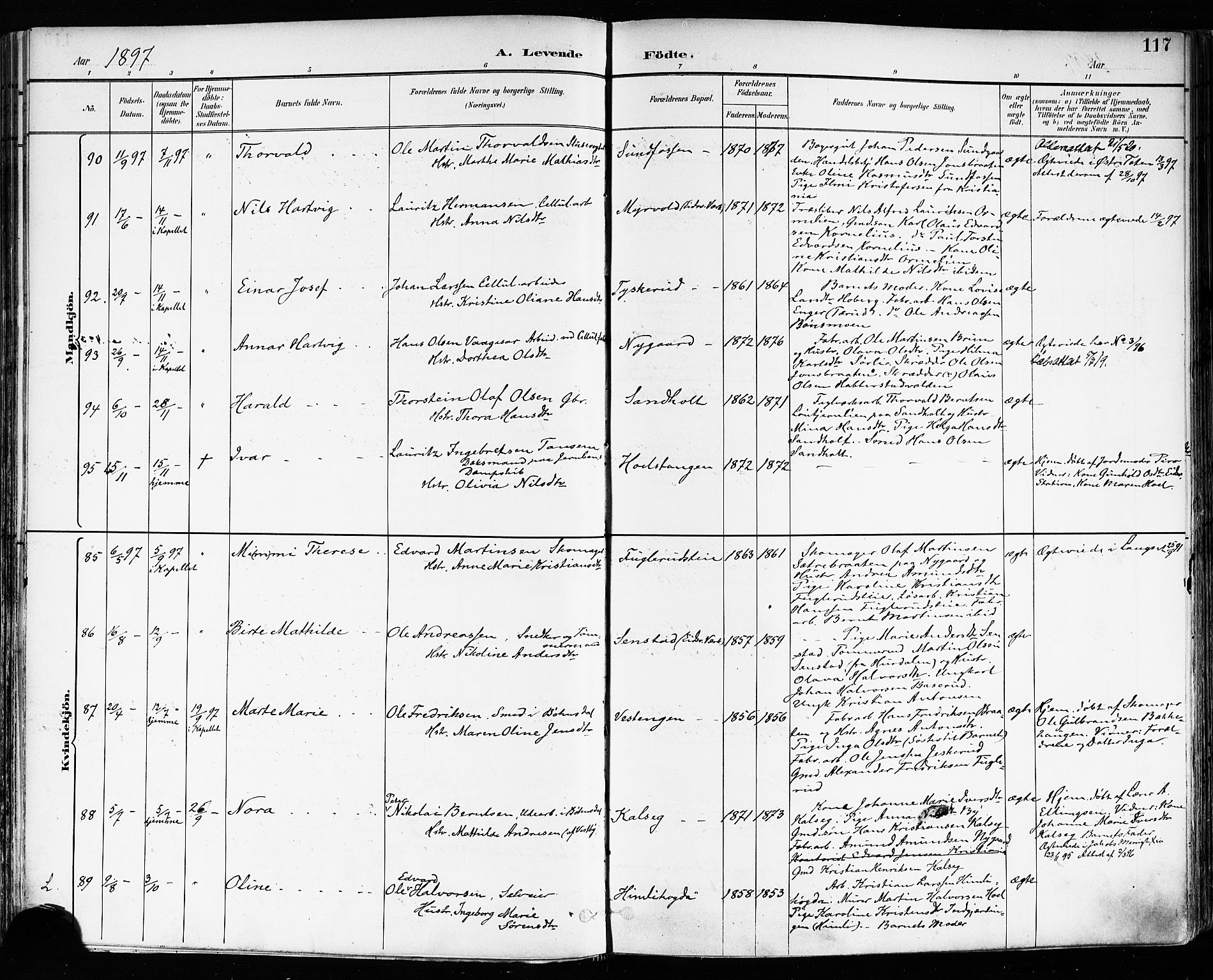 Eidsvoll prestekontor Kirkebøker, AV/SAO-A-10888/F/Fa/L0004: Ministerialbok nr. I 4, 1891-1900, s. 117
