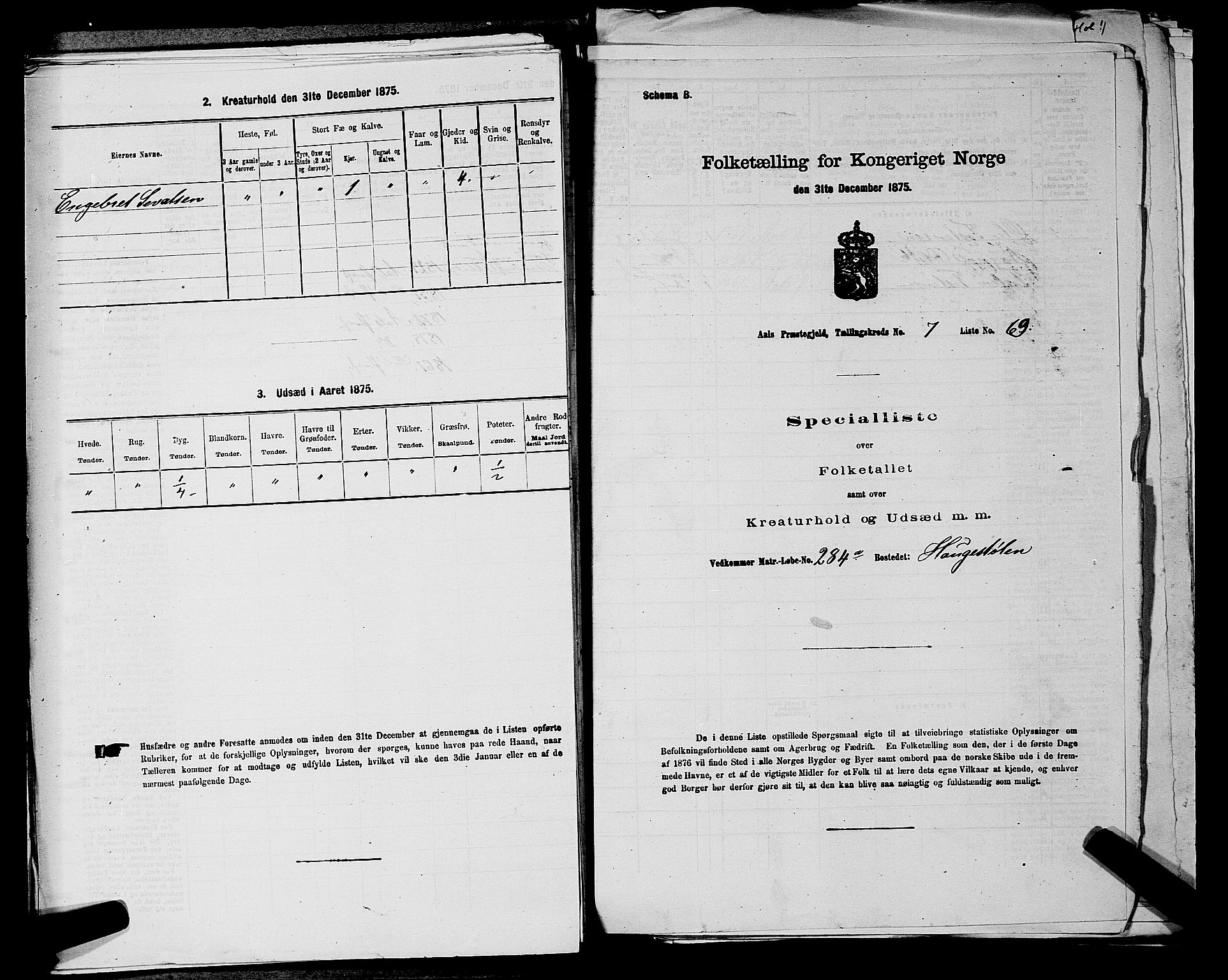 SAKO, Folketelling 1875 for 0619P Ål prestegjeld, 1875, s. 974