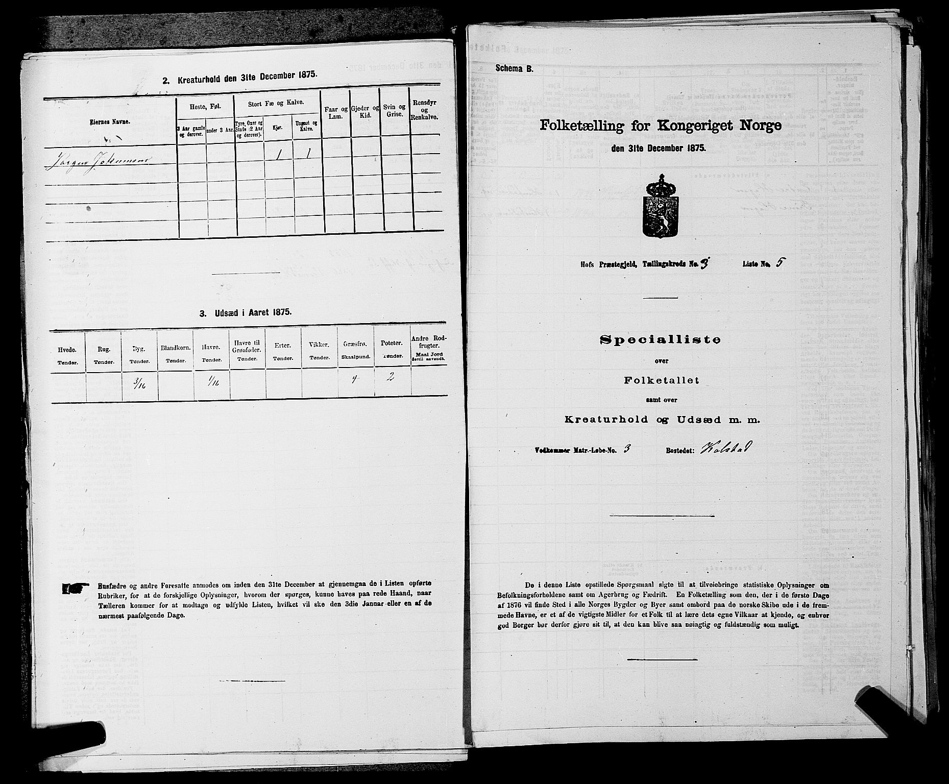 SAKO, Folketelling 1875 for 0714P Hof prestegjeld, 1875, s. 277