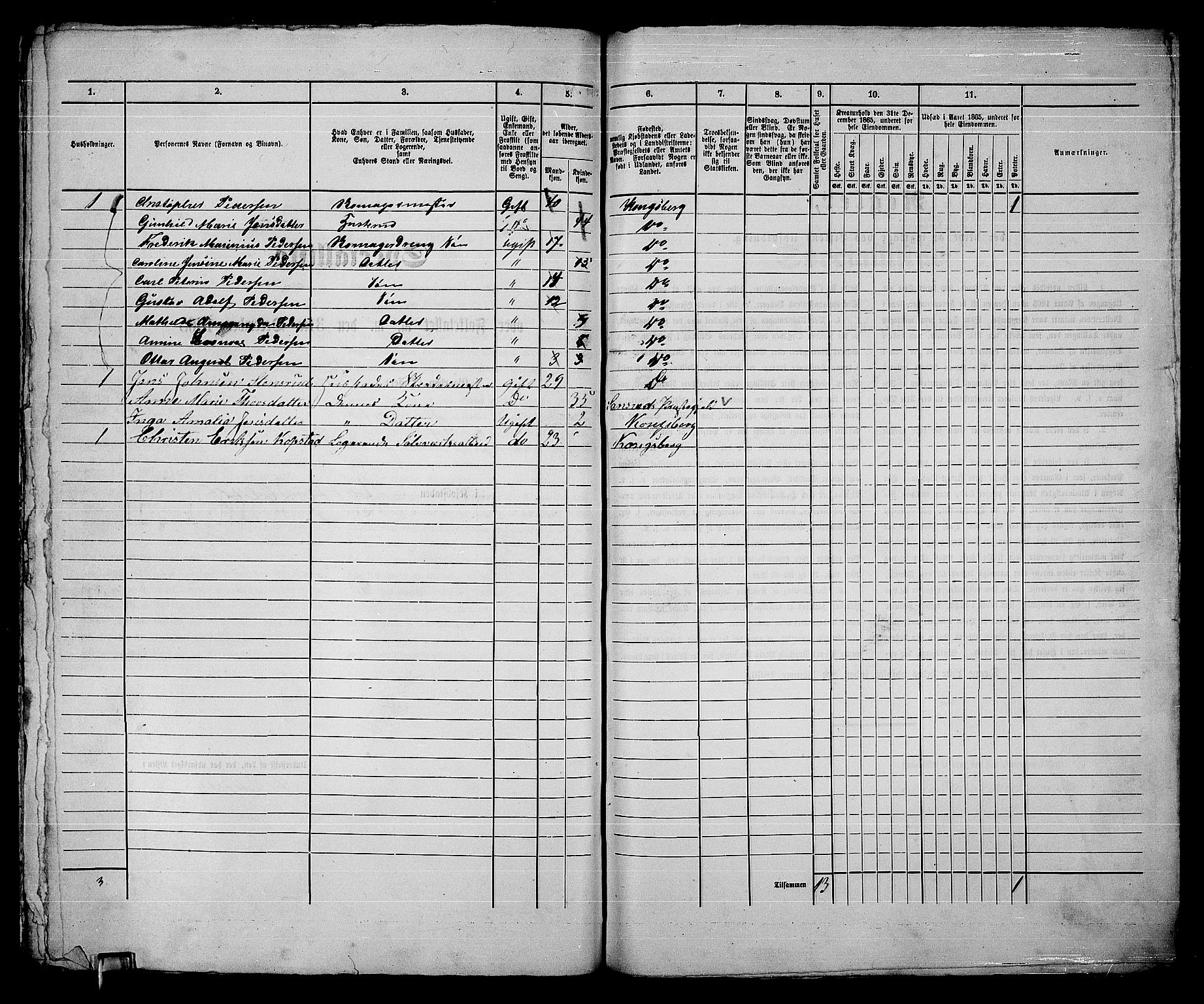 RA, Folketelling 1865 for 0604B Kongsberg prestegjeld, Kongsberg kjøpstad, 1865, s. 465