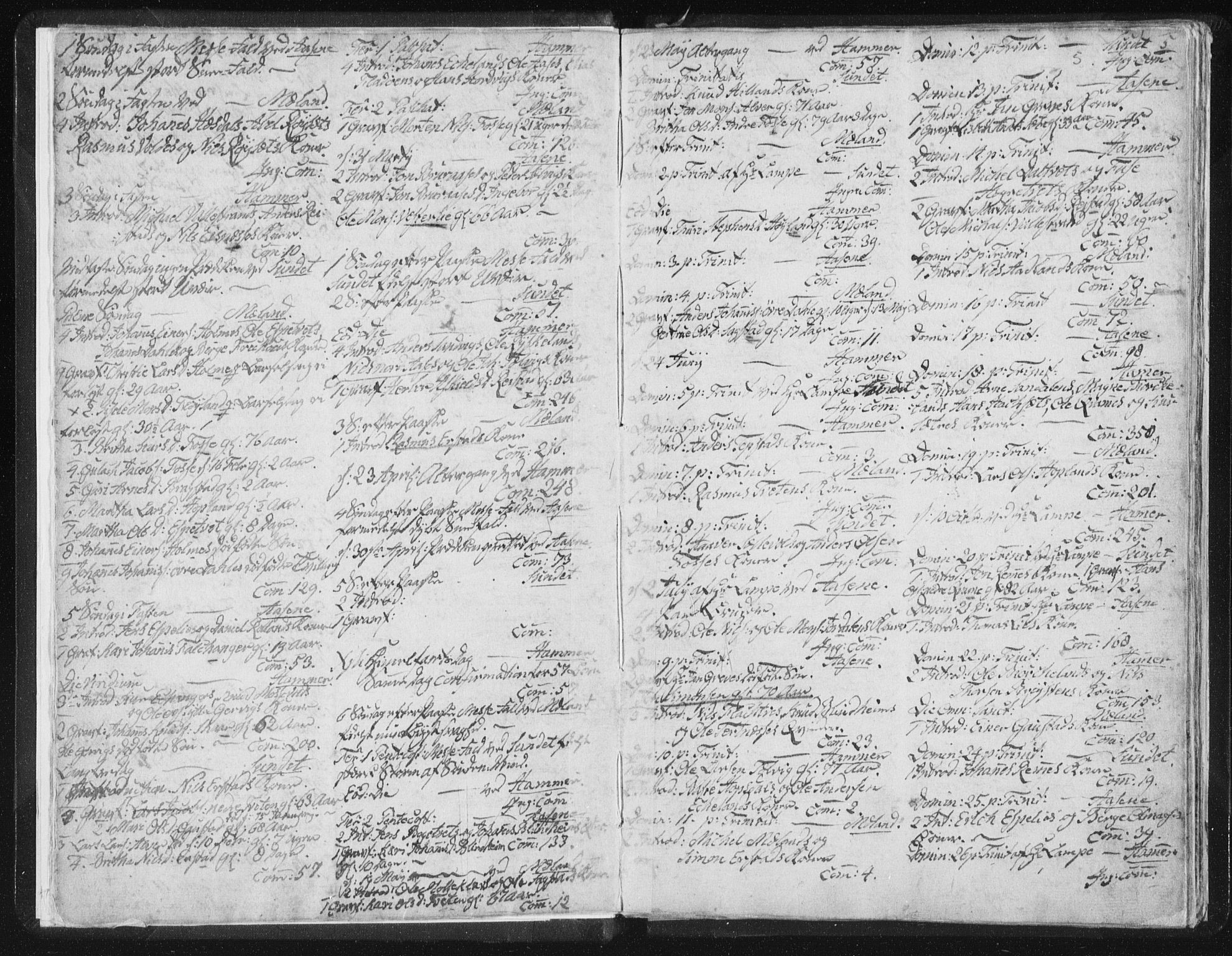 Hamre sokneprestembete, AV/SAB-A-75501/H/Ha/Haa/Haaa/L0009: Ministerialbok nr. A 9, 1805-1815, s. 5