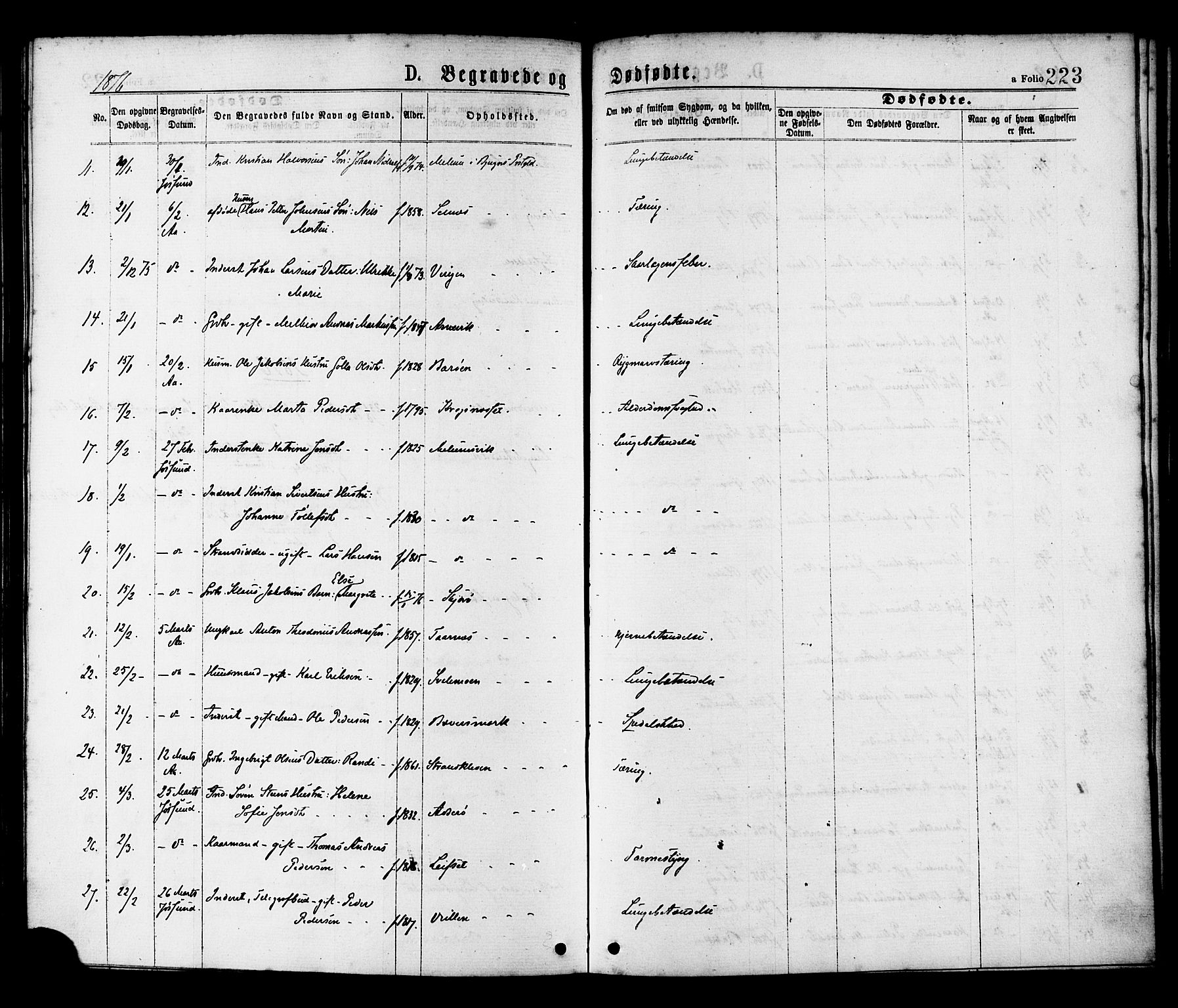 Ministerialprotokoller, klokkerbøker og fødselsregistre - Sør-Trøndelag, AV/SAT-A-1456/655/L0679: Ministerialbok nr. 655A08, 1873-1879, s. 223