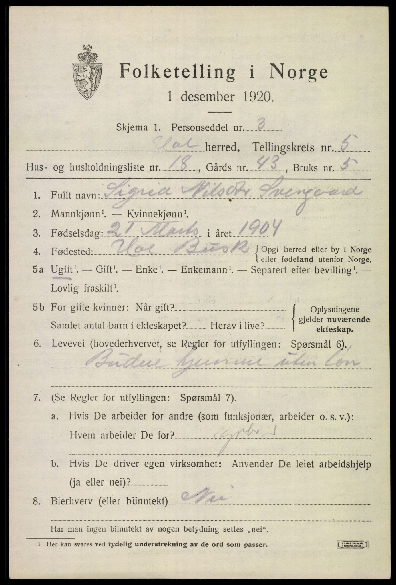 SAKO, Folketelling 1920 for 0620 Hol herred, 1920, s. 2943