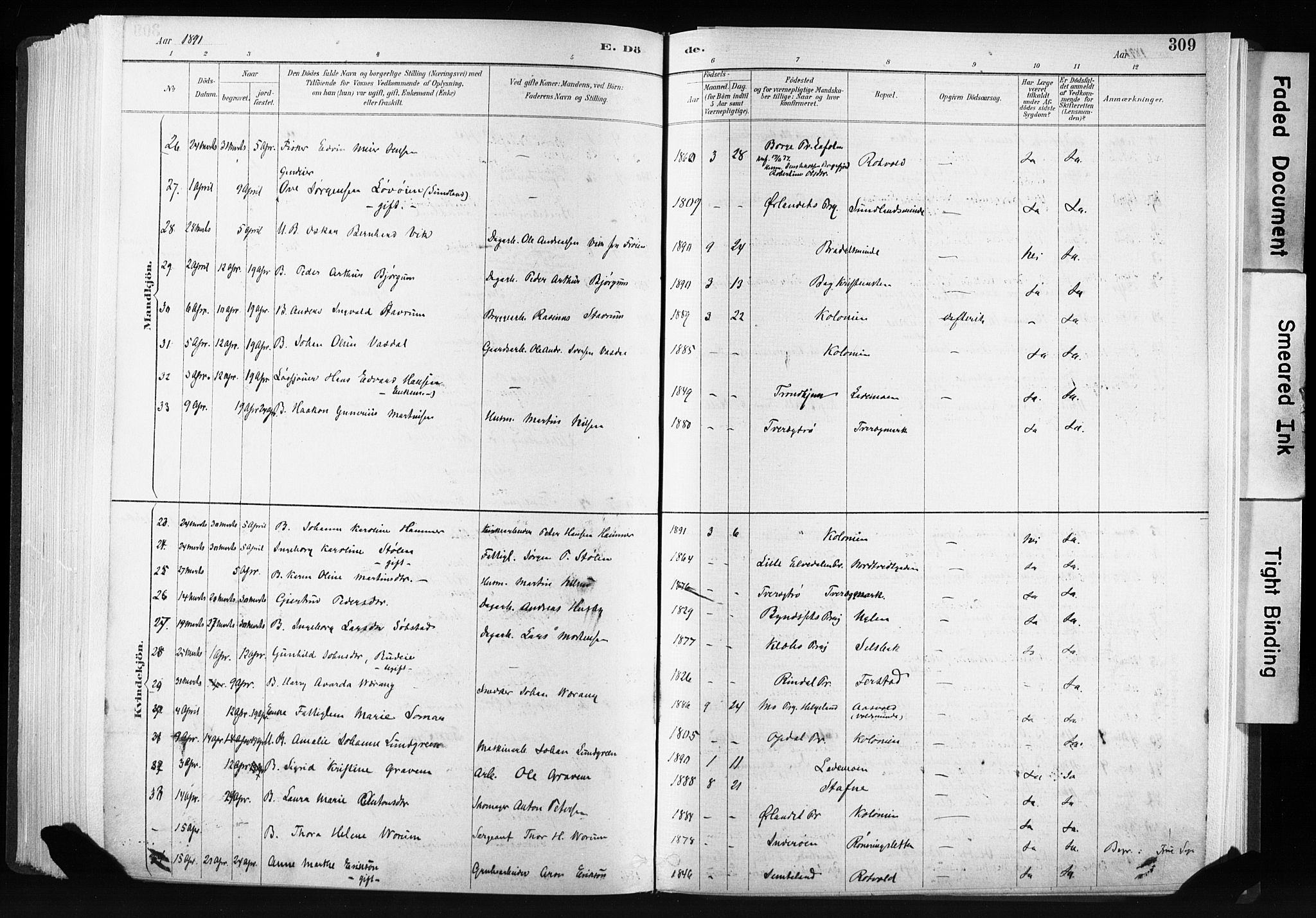 Ministerialprotokoller, klokkerbøker og fødselsregistre - Sør-Trøndelag, SAT/A-1456/606/L0300: Ministerialbok nr. 606A15, 1886-1893, s. 309