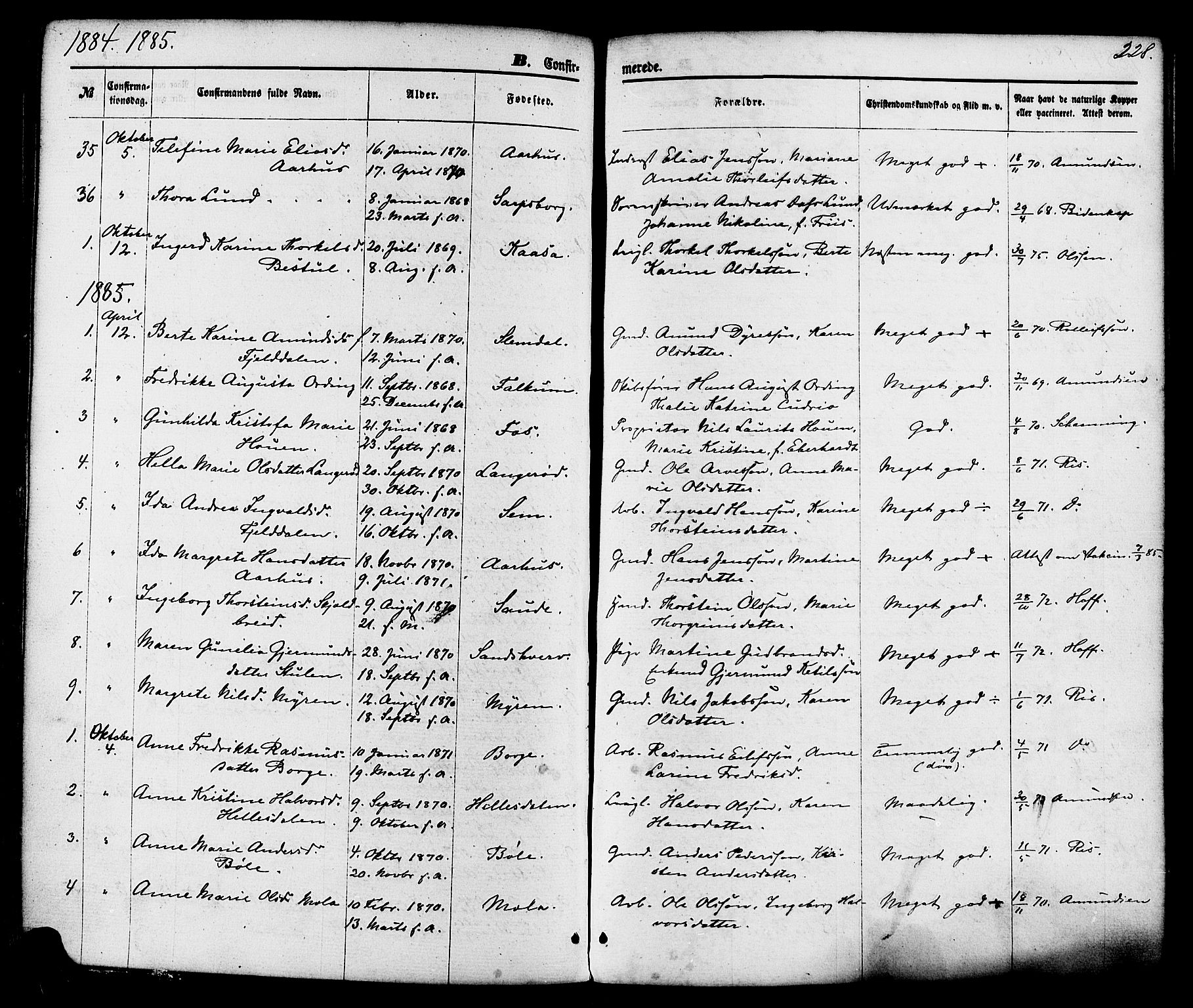Gjerpen kirkebøker, AV/SAKO-A-265/F/Fa/L0009: Ministerialbok nr. I 9, 1872-1885, s. 228