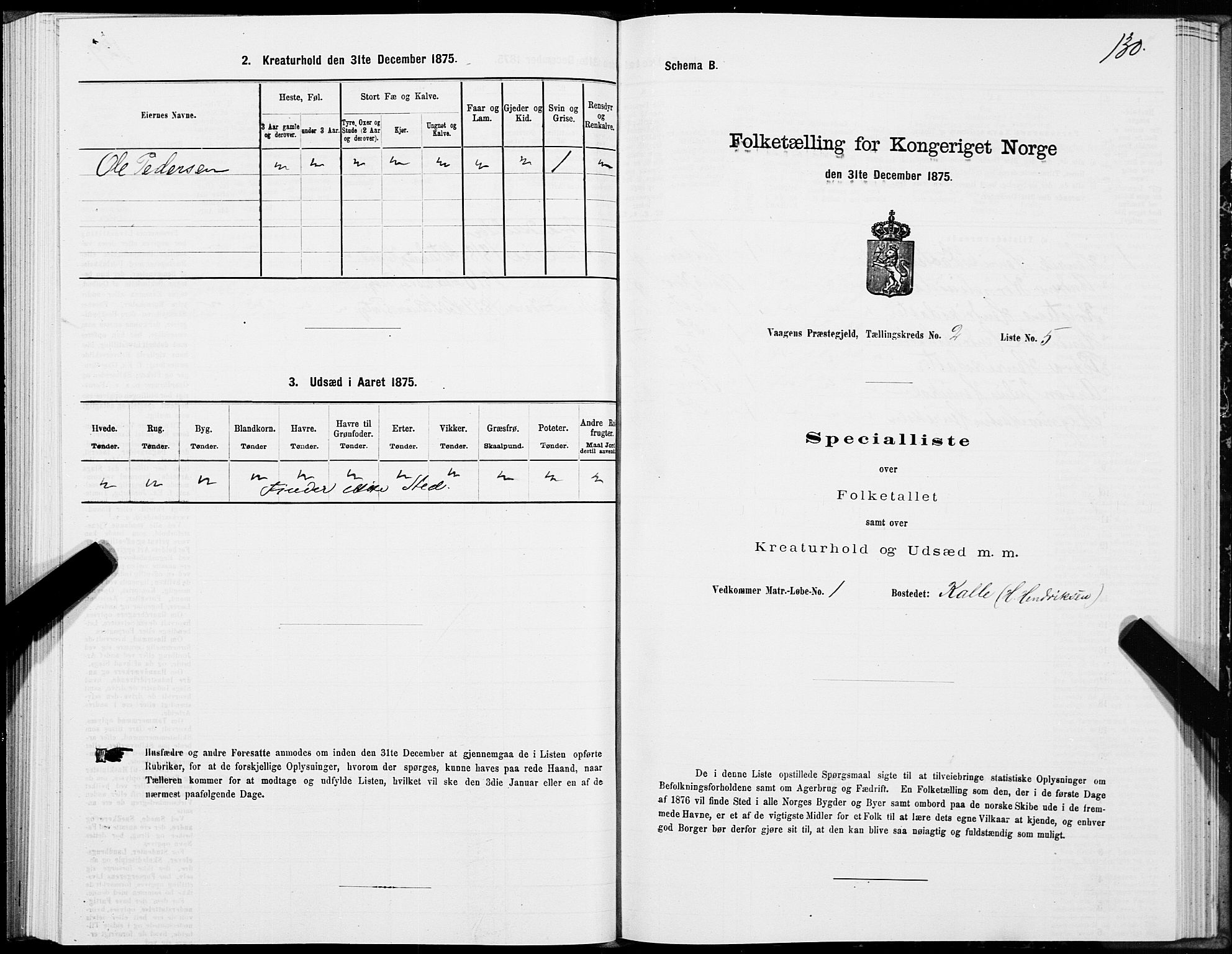 SAT, Folketelling 1875 for 1865P Vågan prestegjeld, 1875, s. 1130